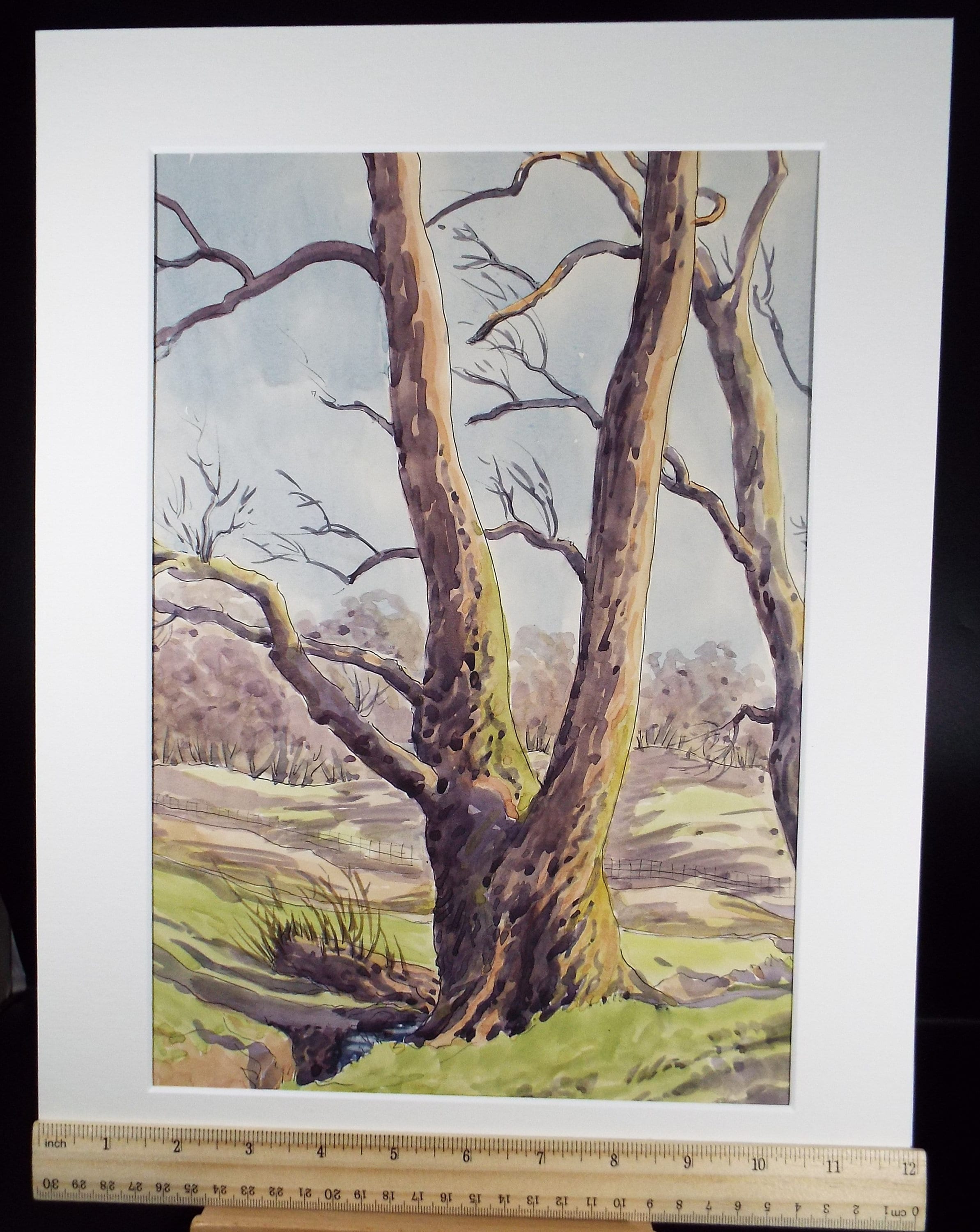 Original Watercolour, 'Tree Study', George Godfrey, circa 1960's
