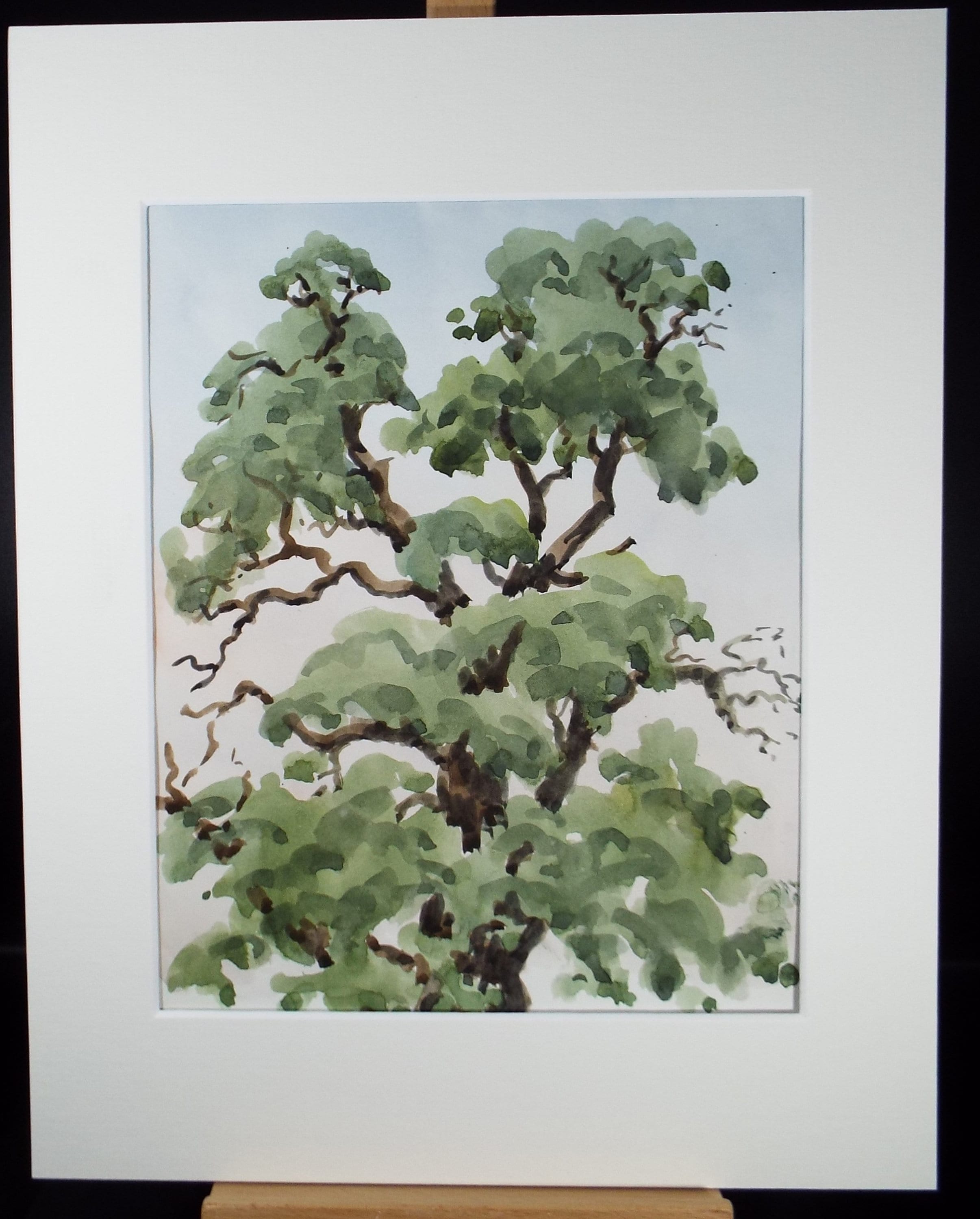 Original Watercolour, 'Kew - Tree Study', George Godfrey, circa 1970's