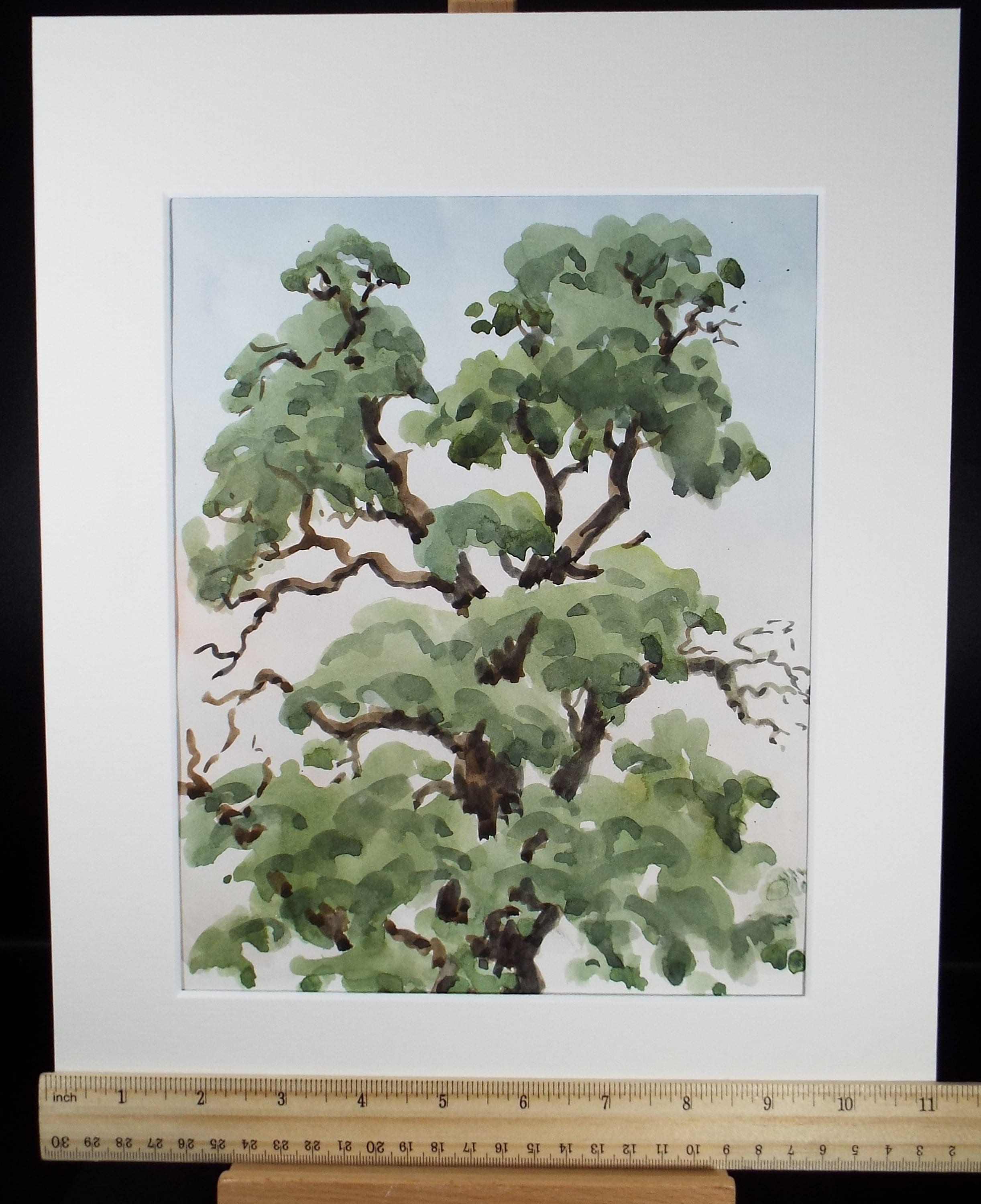 Original Watercolour, 'Kew - Tree Study', George Godfrey, circa 1970's