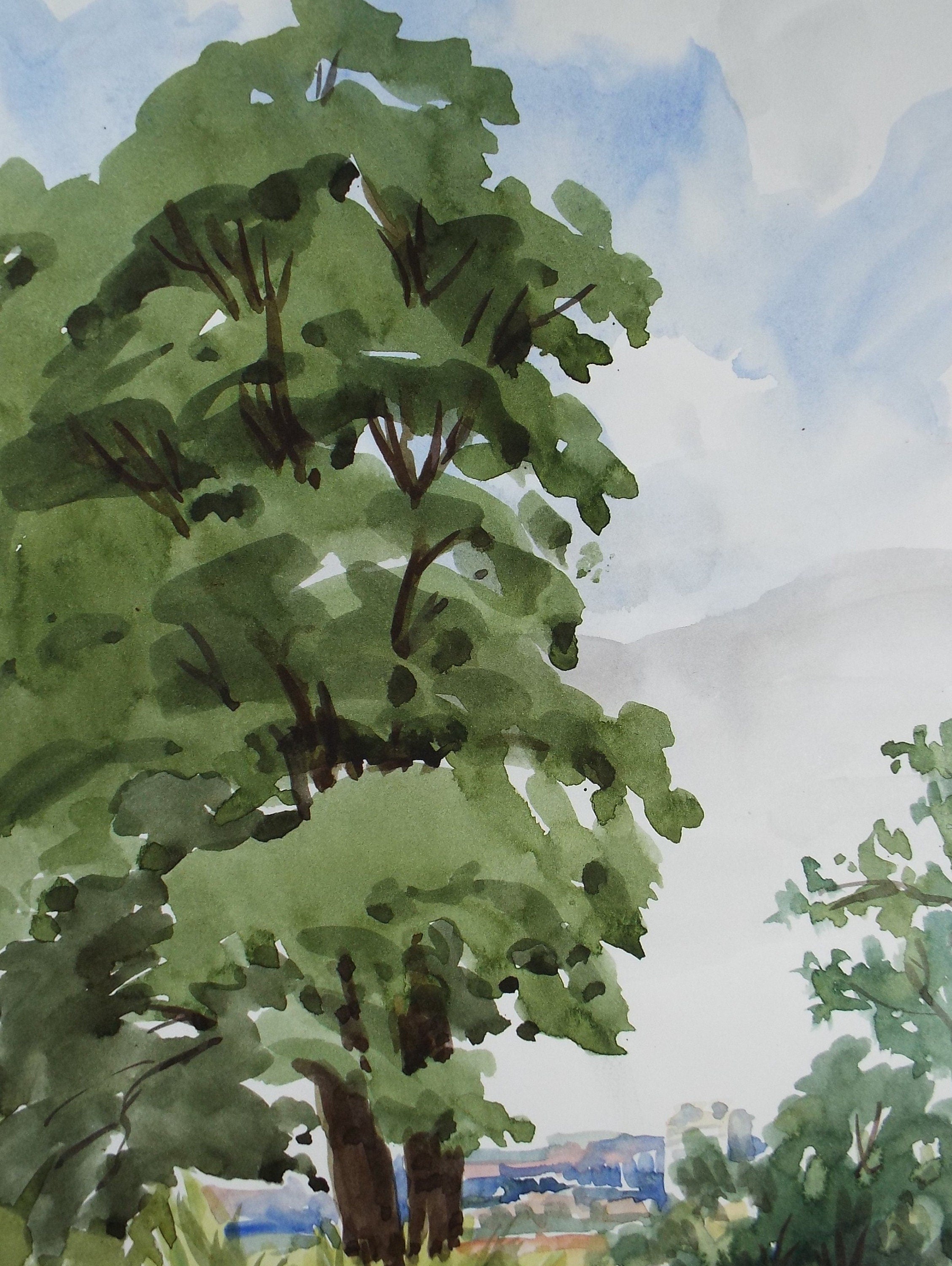 Original Watercolour, 'Kew - Tree Study', George Godfrey, circa 1970's
