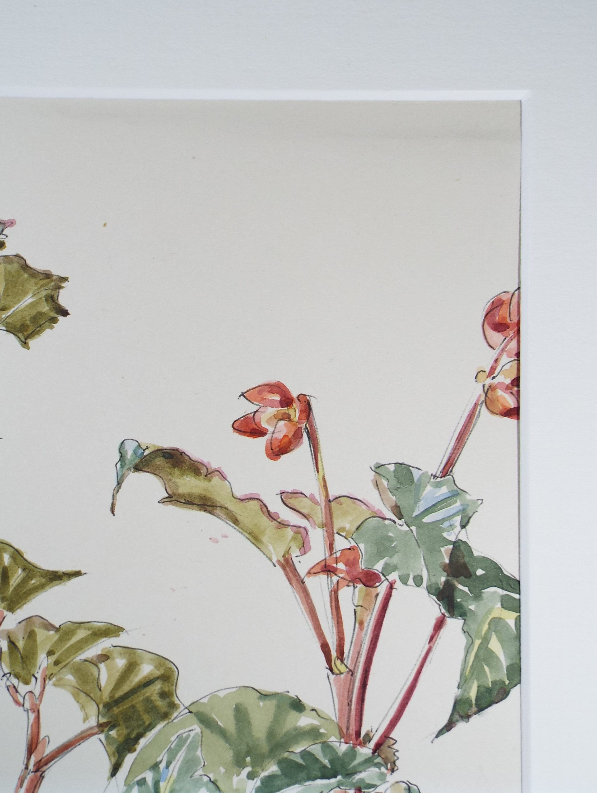 Original Watercolour, 'House Plant Study', George Godfrey, circa 1970's