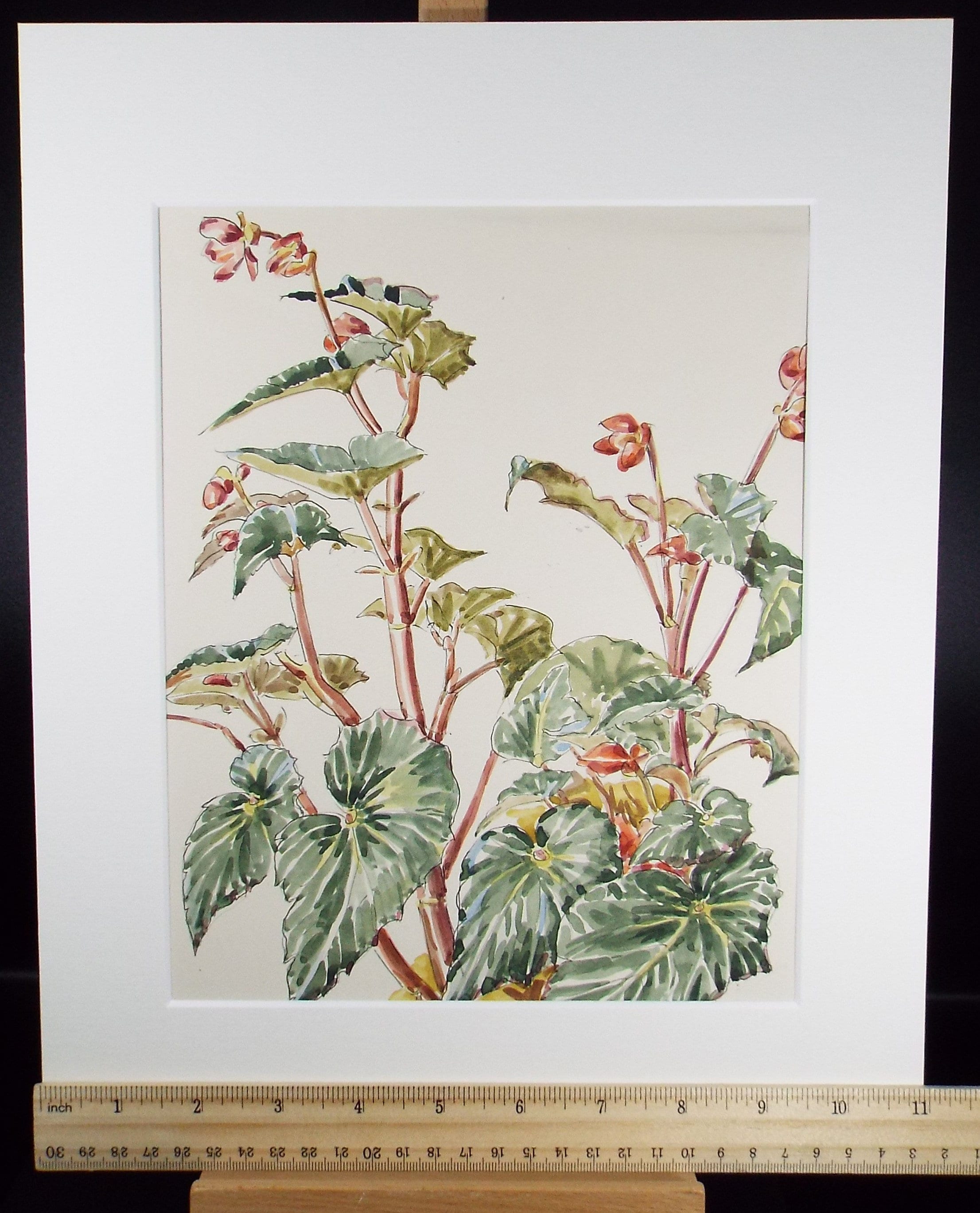 Original Watercolour, 'House Plant Study', George Godfrey, circa 1970's