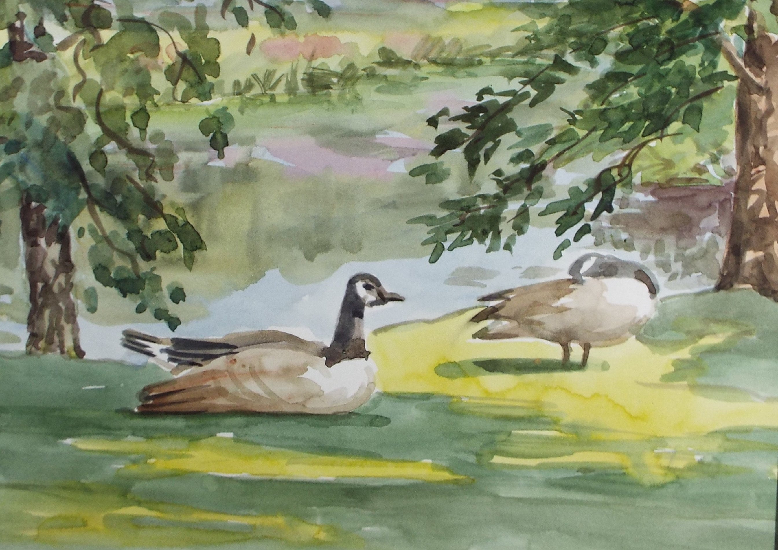 Original Watercolour, 'Study Canada Geese', George Godfrey, circa 1970's