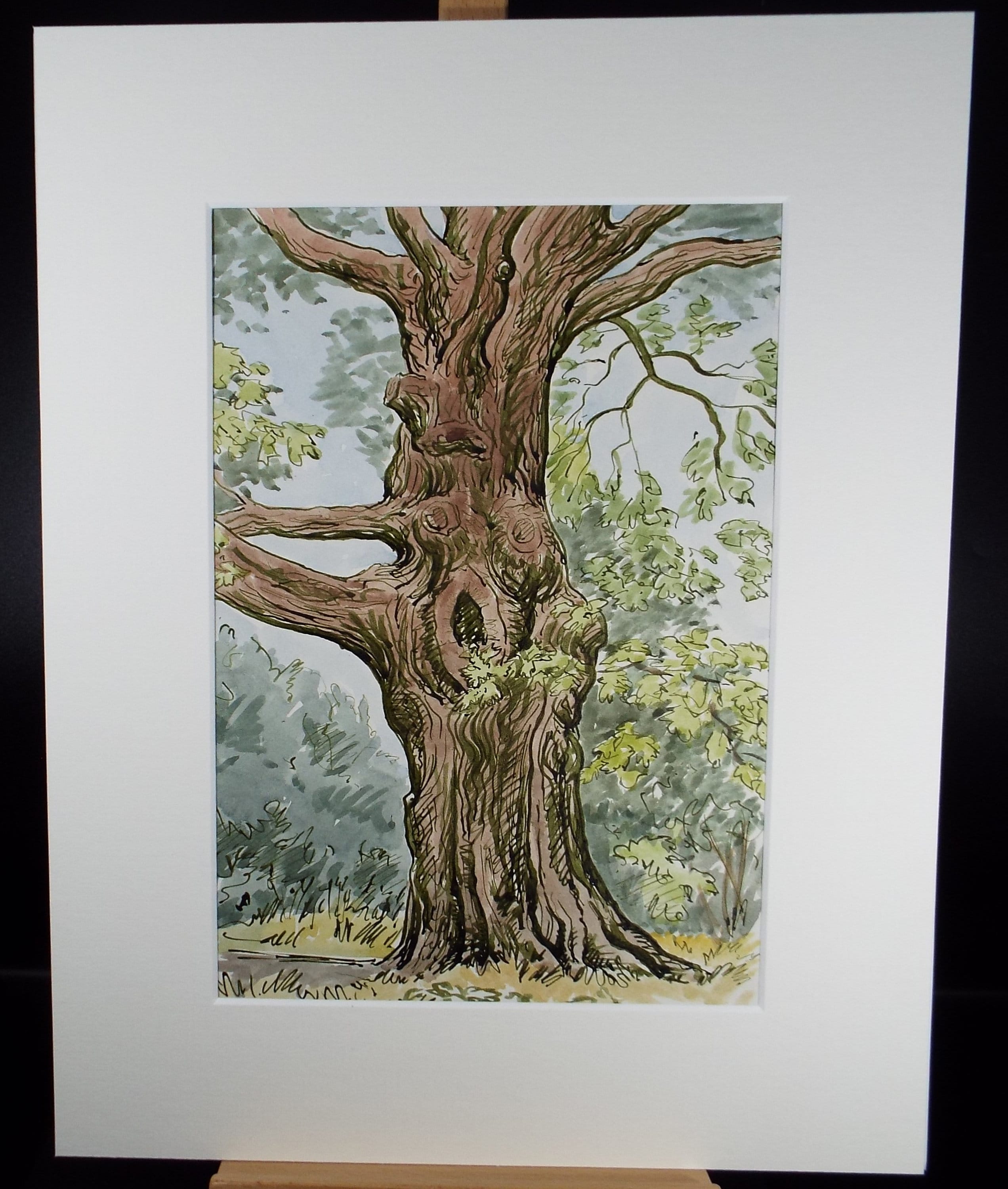 Original Watercolour, 'Tree Study', George Godfrey, Dated 1959