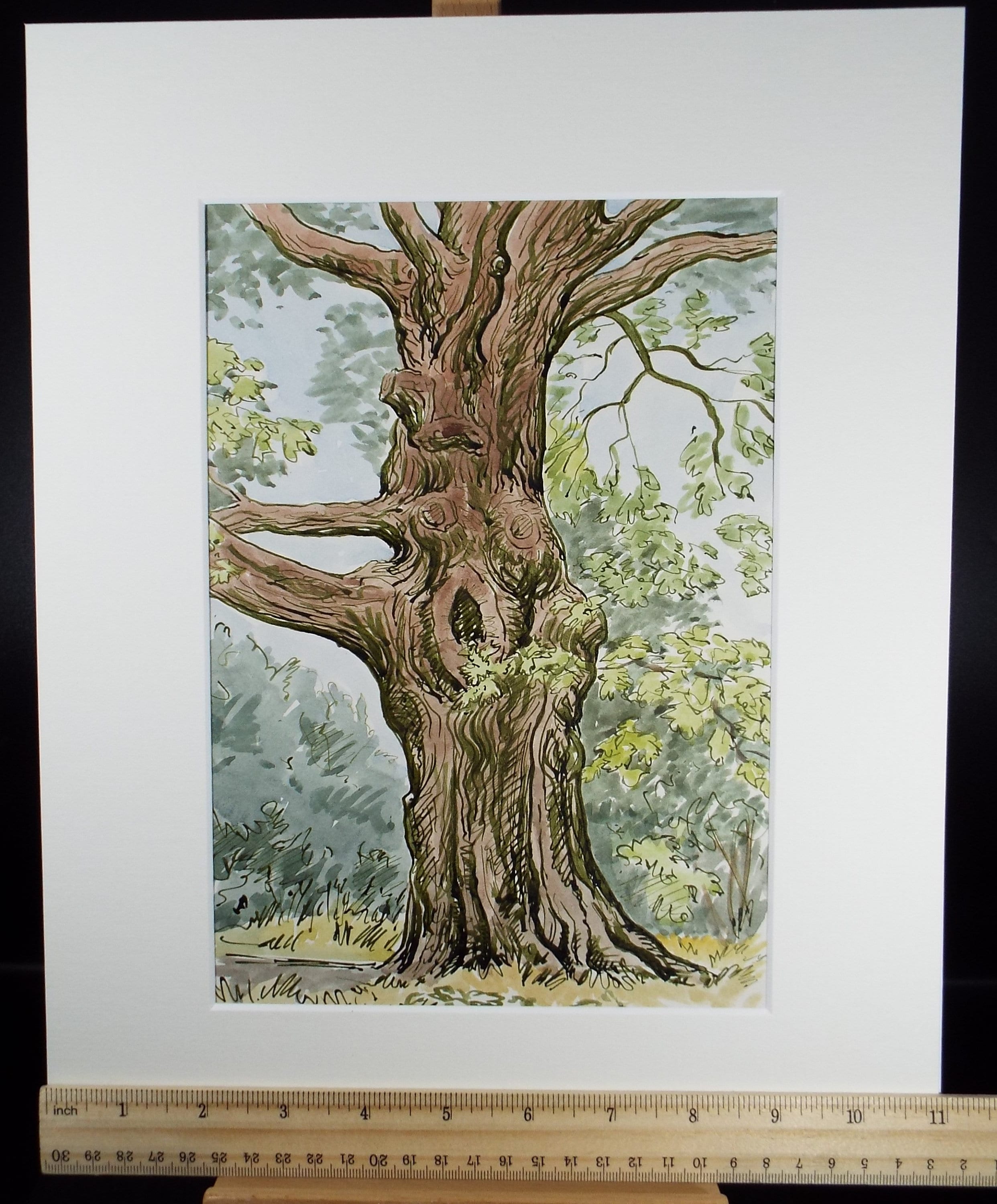 Original Watercolour, 'Tree Study', George Godfrey, Dated 1959