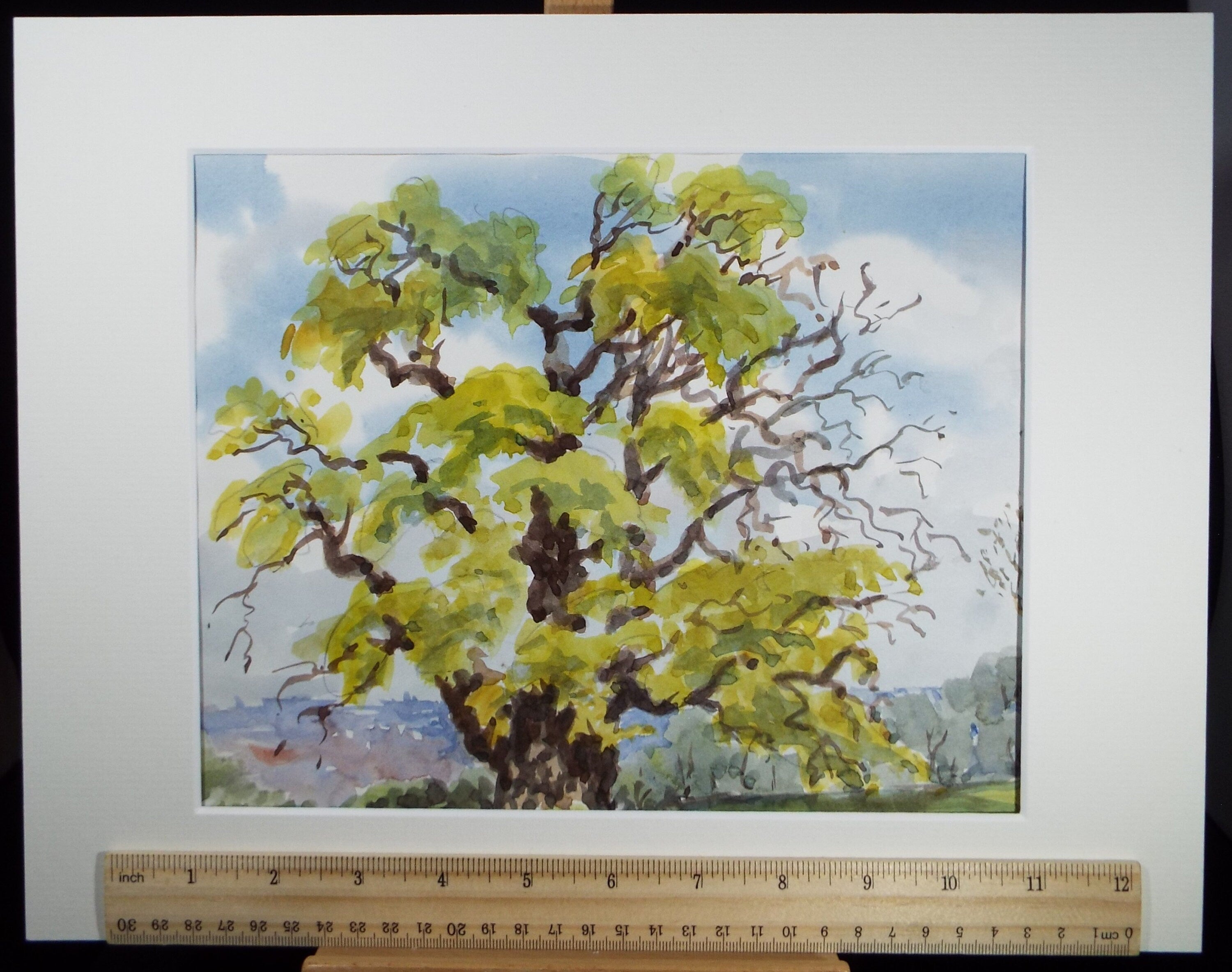 Original Watercolour, ' Tree Study', George Godfrey, circa 1970's