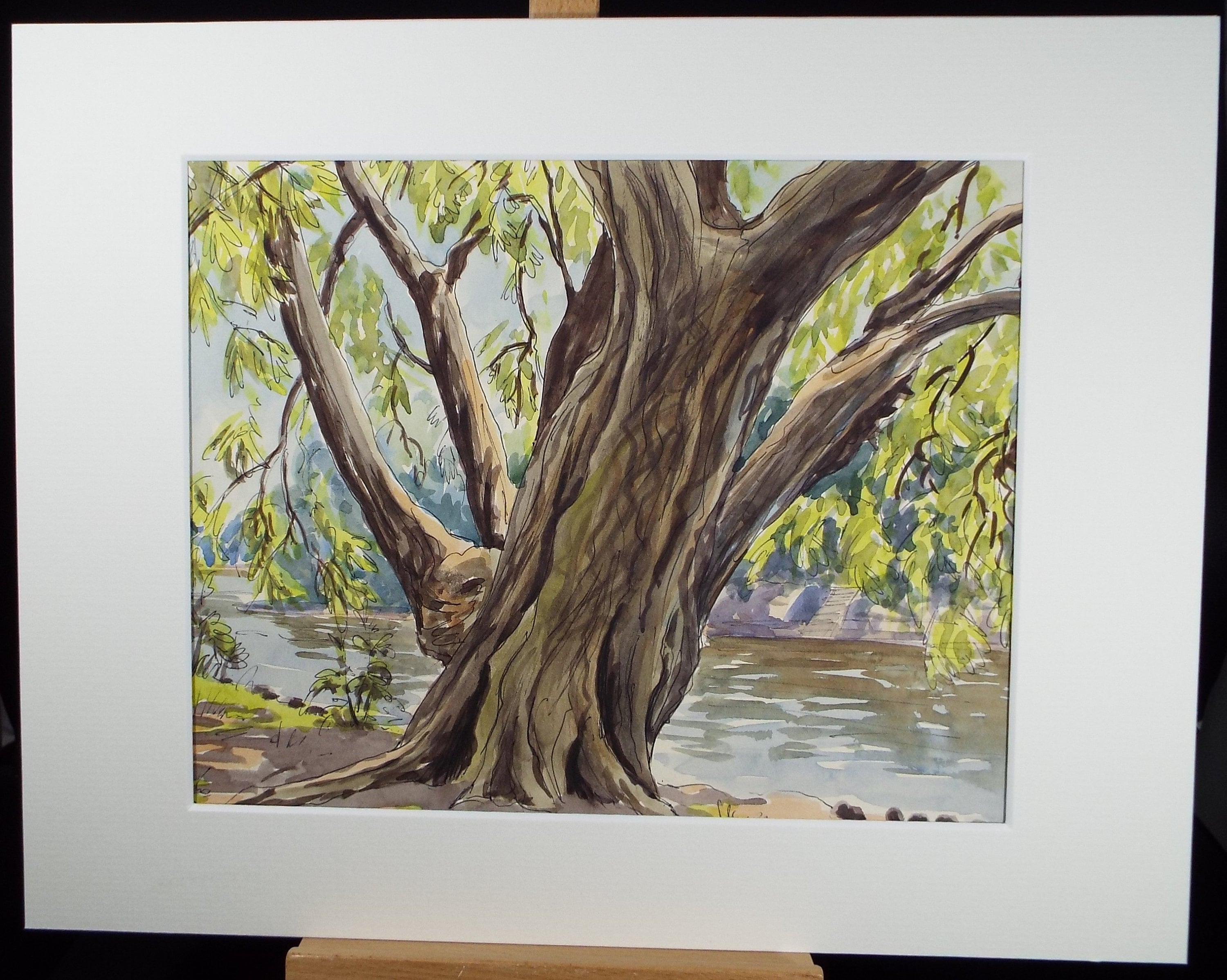 Original Watercolour, 'A Study of Willows', George Godfrey, circa 1960's