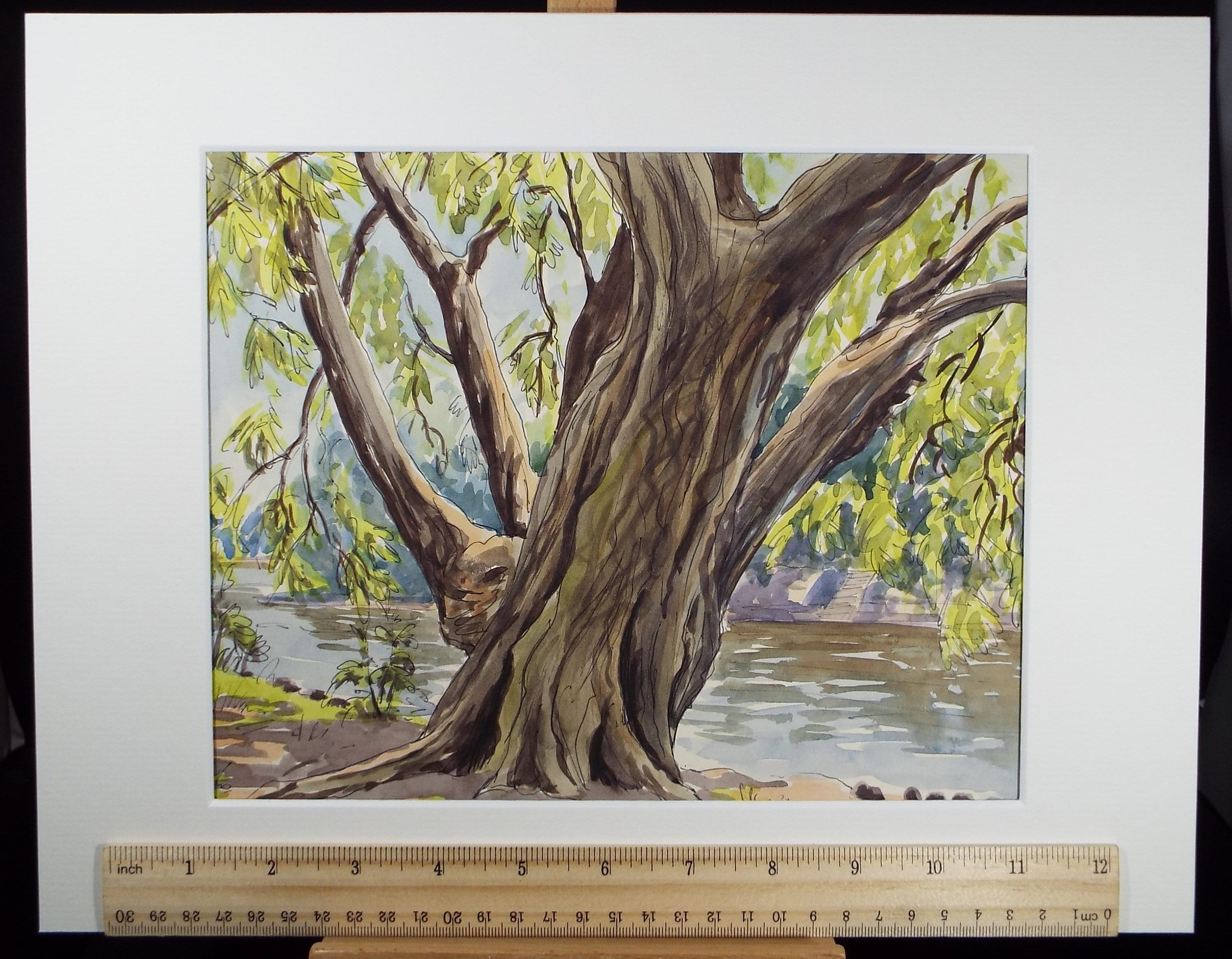 Original Watercolour, 'A Study of Willows', George Godfrey, circa 1960's