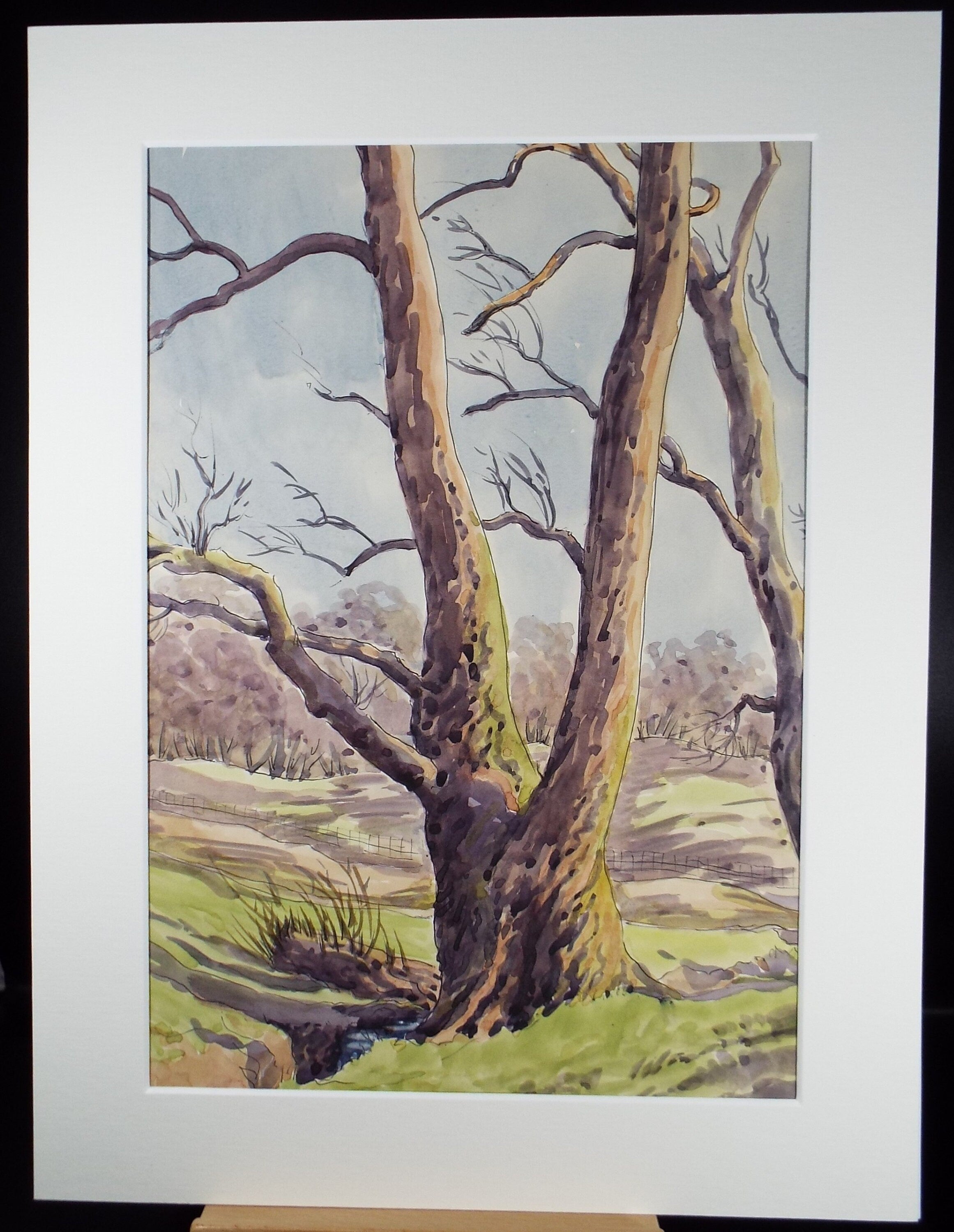 Original Watercolour, 'Tree Study', George Godfrey, circa 1960's