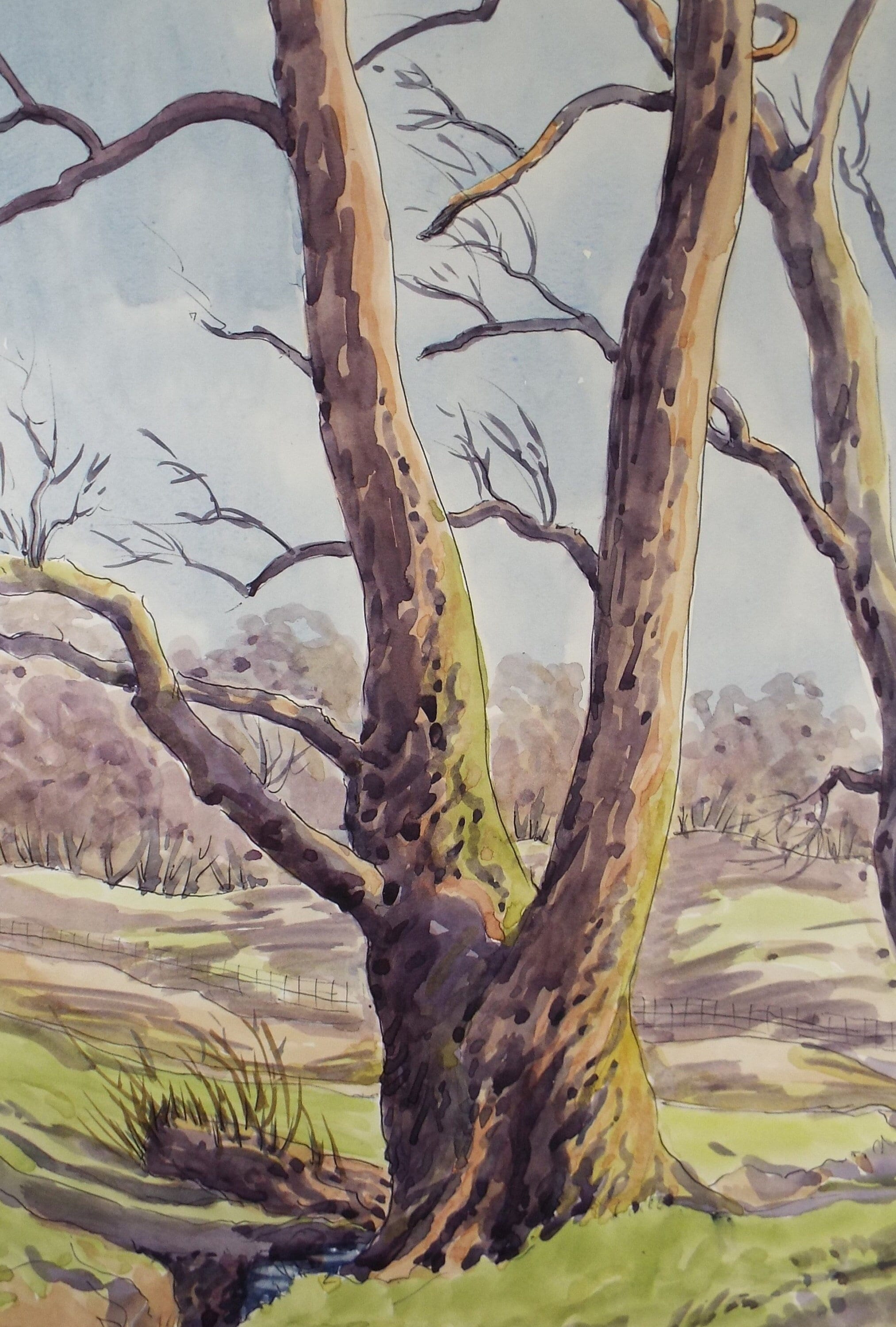 Original Watercolour, 'Tree Study', George Godfrey, circa 1960's
