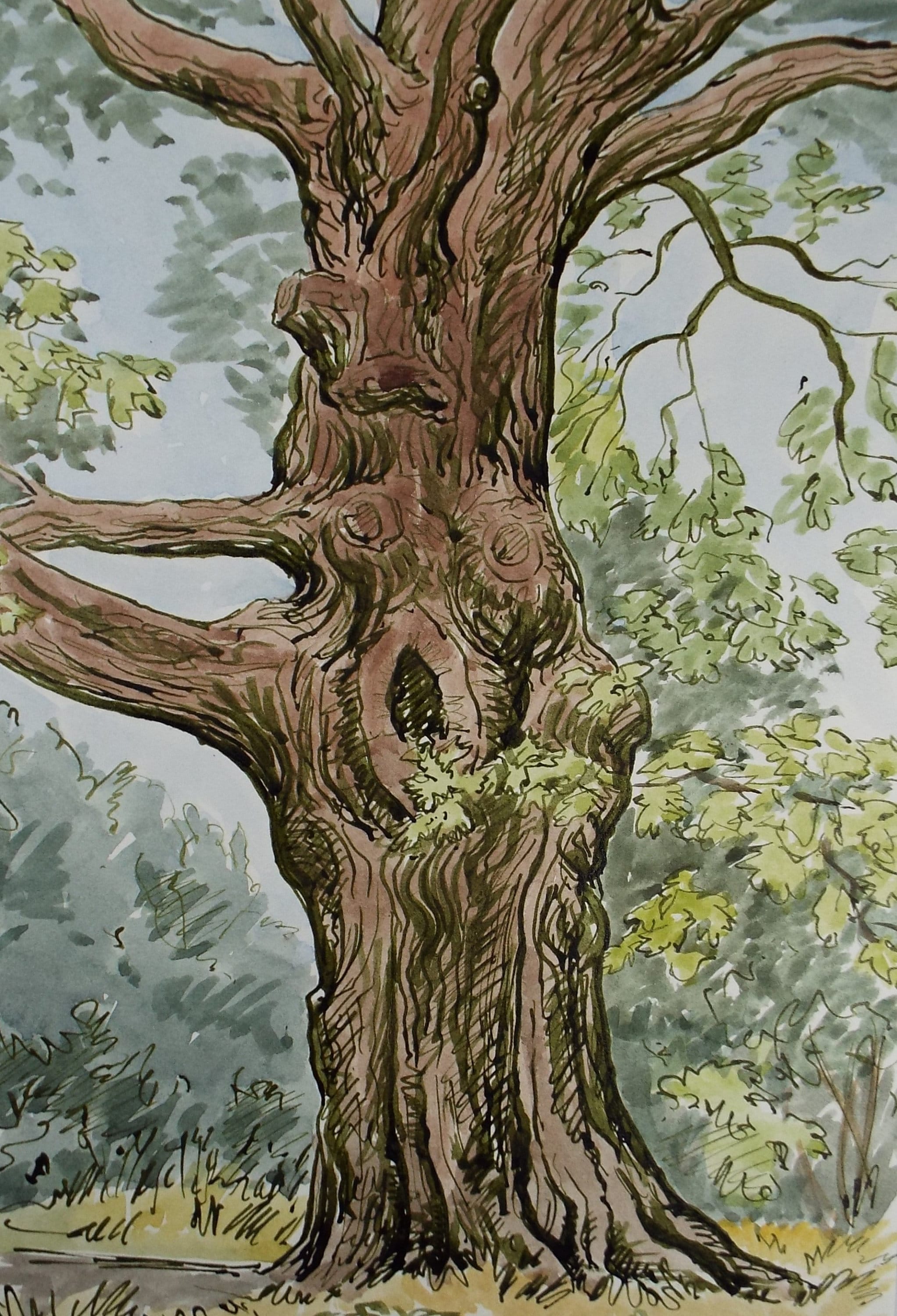 Original Watercolour, 'Tree Study', George Godfrey, Dated 1959