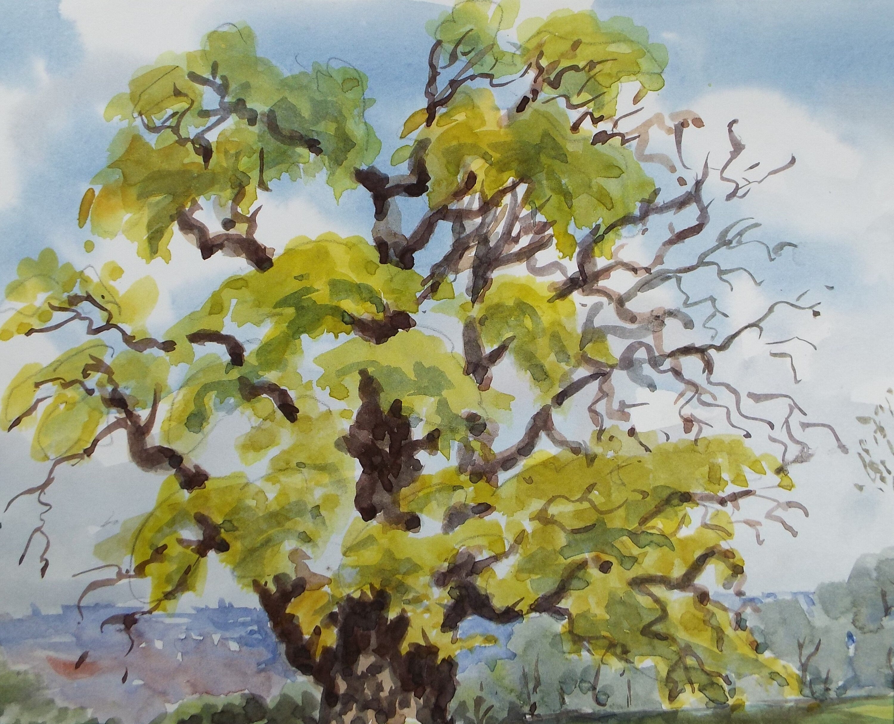 Original Watercolour, ' Tree Study', George Godfrey, circa 1970's