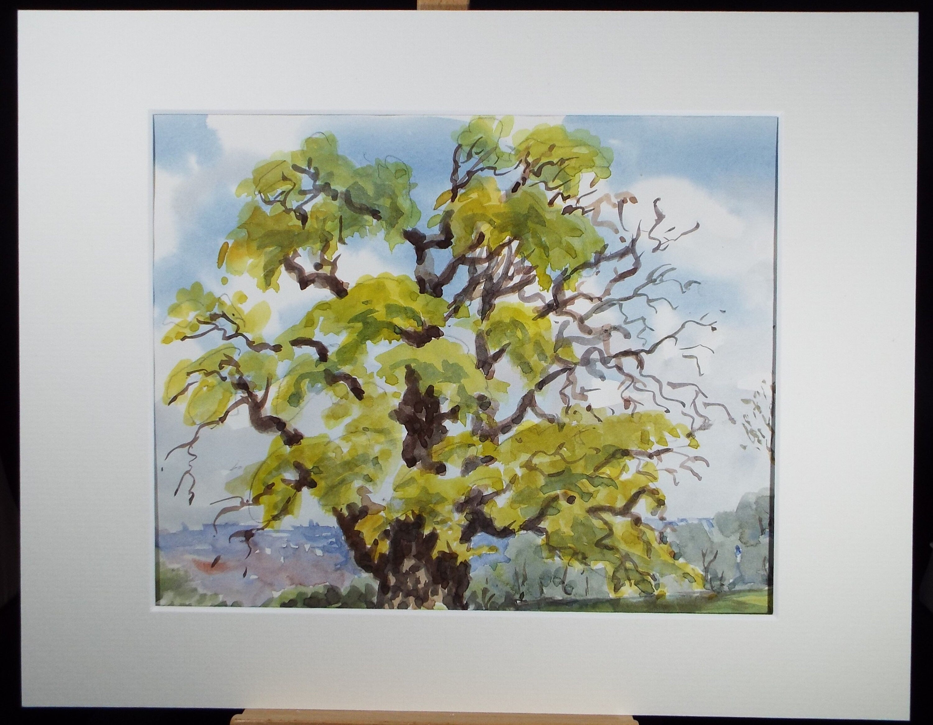 Original Watercolour, ' Tree Study', George Godfrey, circa 1970's