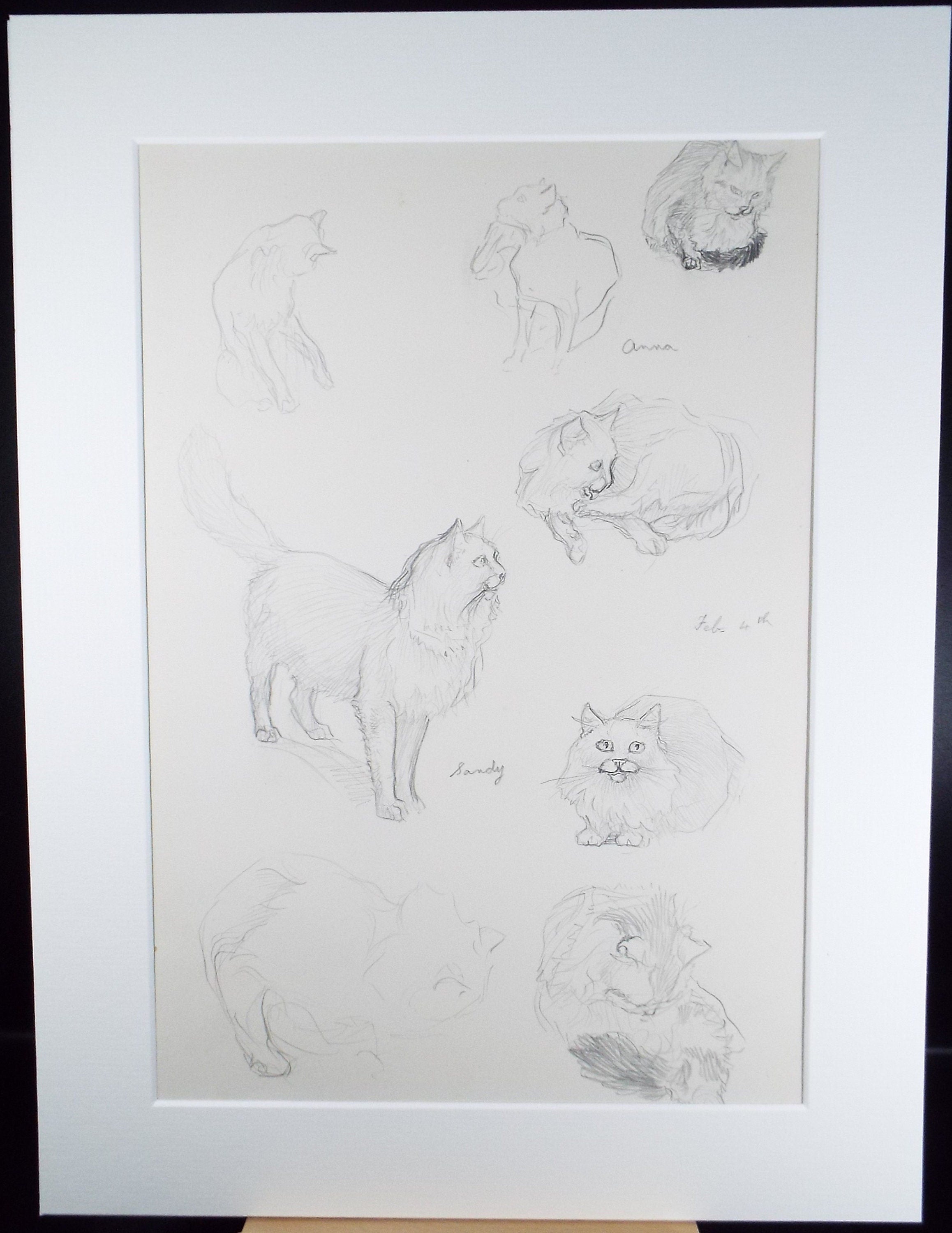 Original Pencil Sketch,'Study of cats', Helen Collins (1921-1990), circa 1938/9