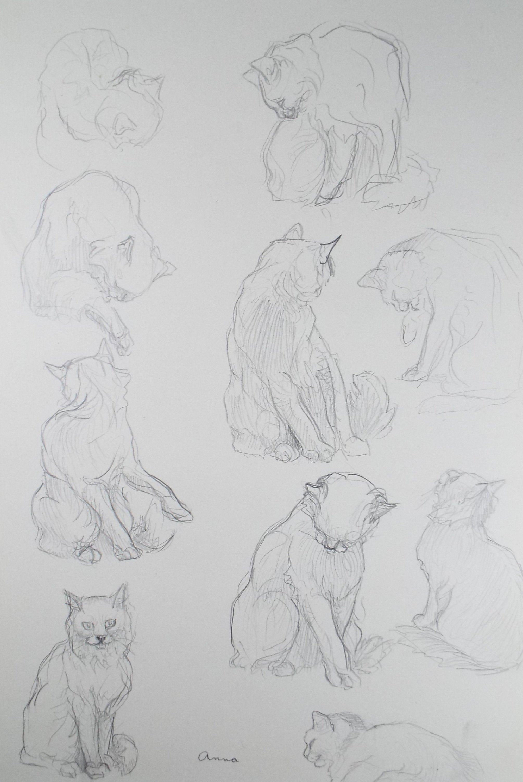 Original Pencil Sketch,'Study of cats', Helen Collins (1921-1990), circa 1938/9