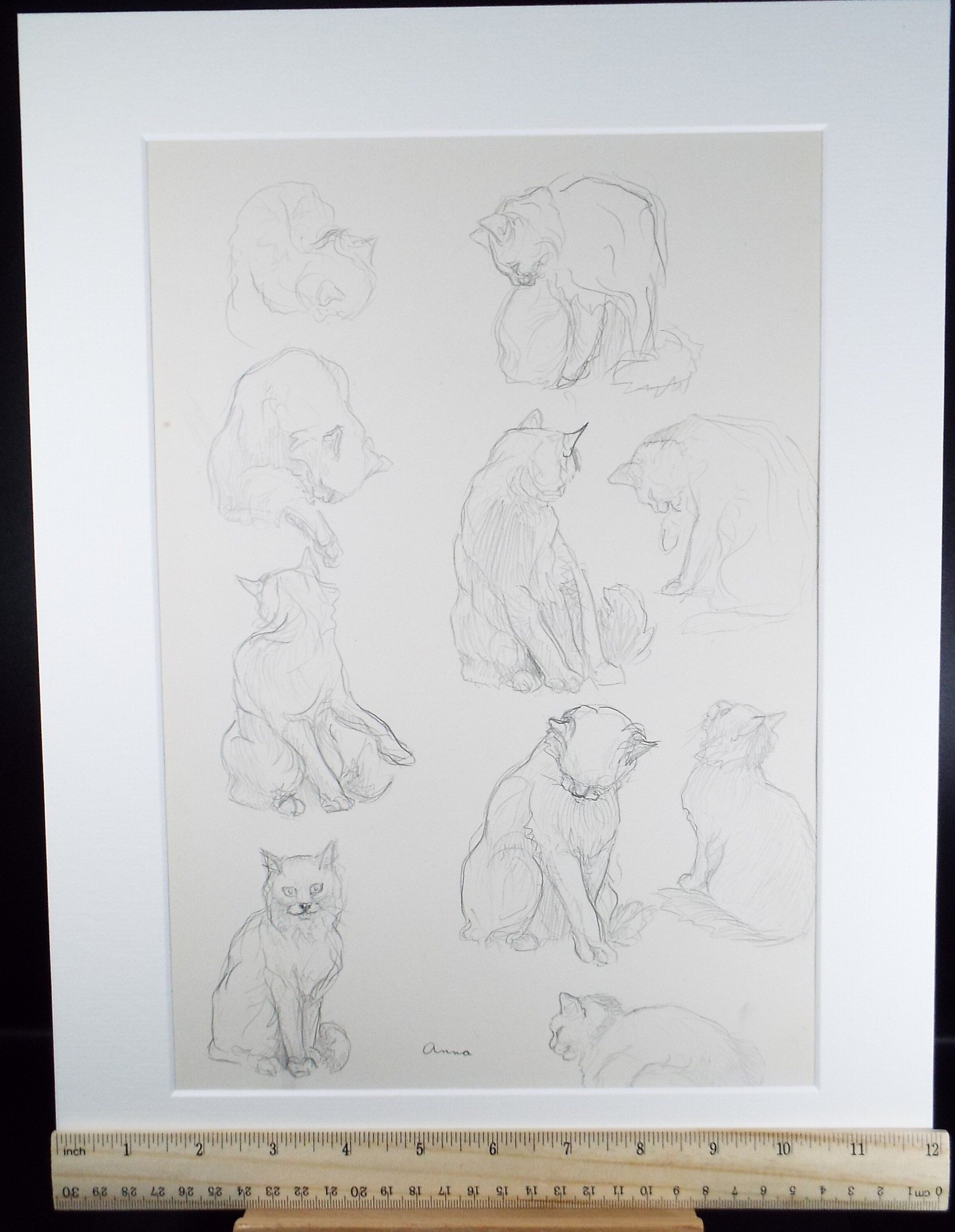 Original Pencil Sketch,'Study of cats', Helen Collins (1921-1990), circa 1938/9