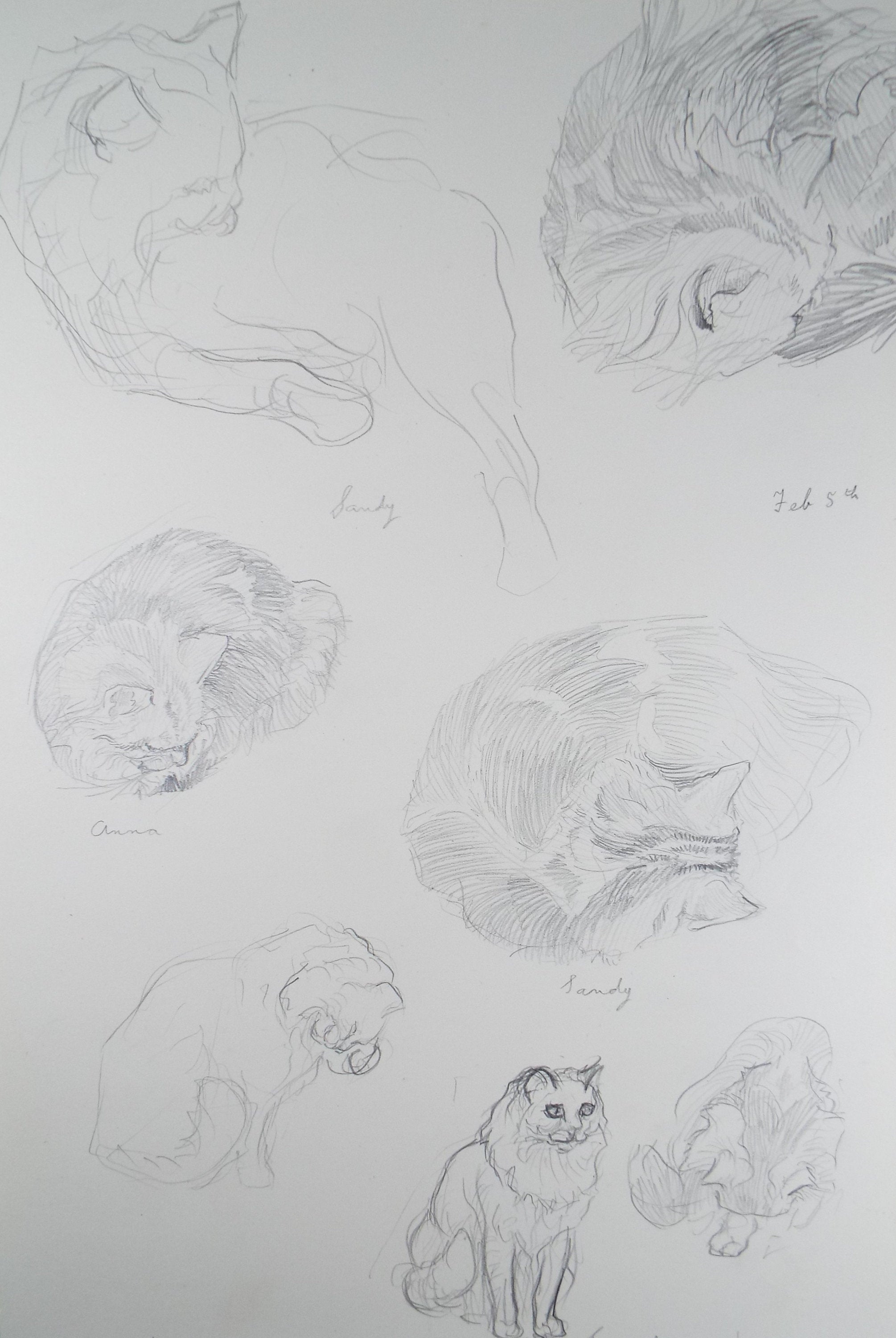 Original Pencil Sketch,'Study of cats', Helen Collins (1921-1990), circa 1938/9