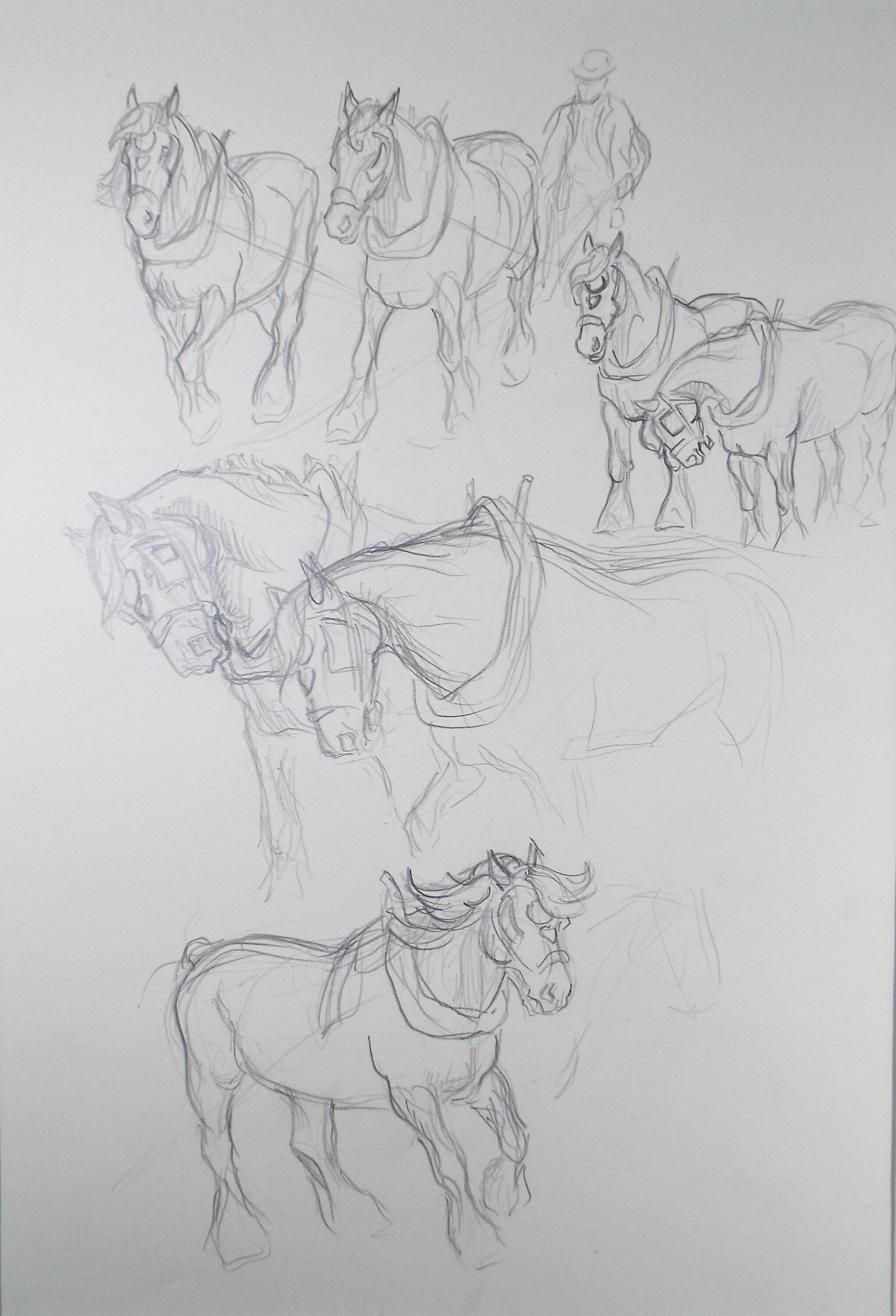 Original Pencil Sketch,'Study Heavy Horses', Helen Collins (1921-1990), circa 1938/9