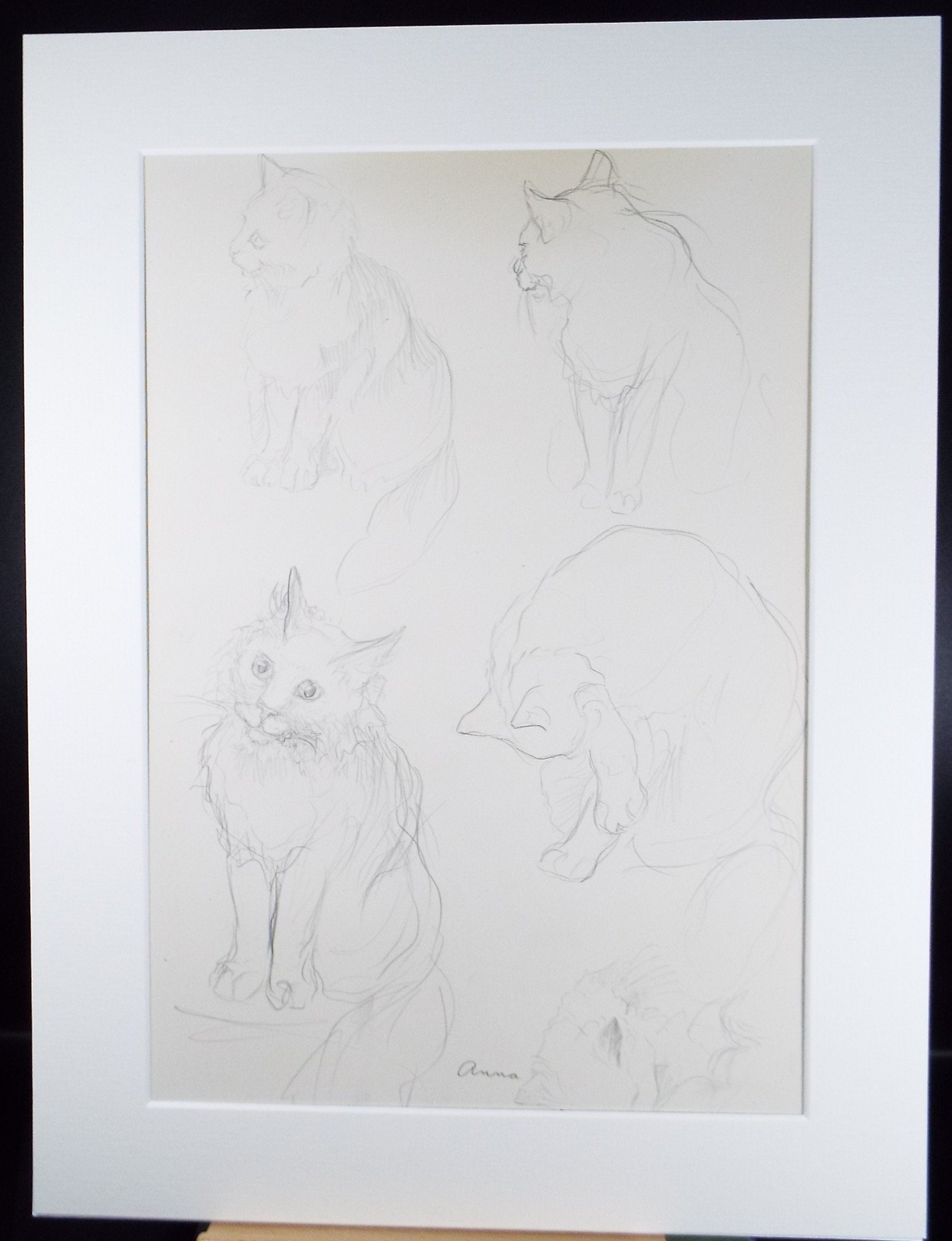 Original Pencil Sketch,'Study of cats', Helen Collins (1921-1990), circa 1938/9