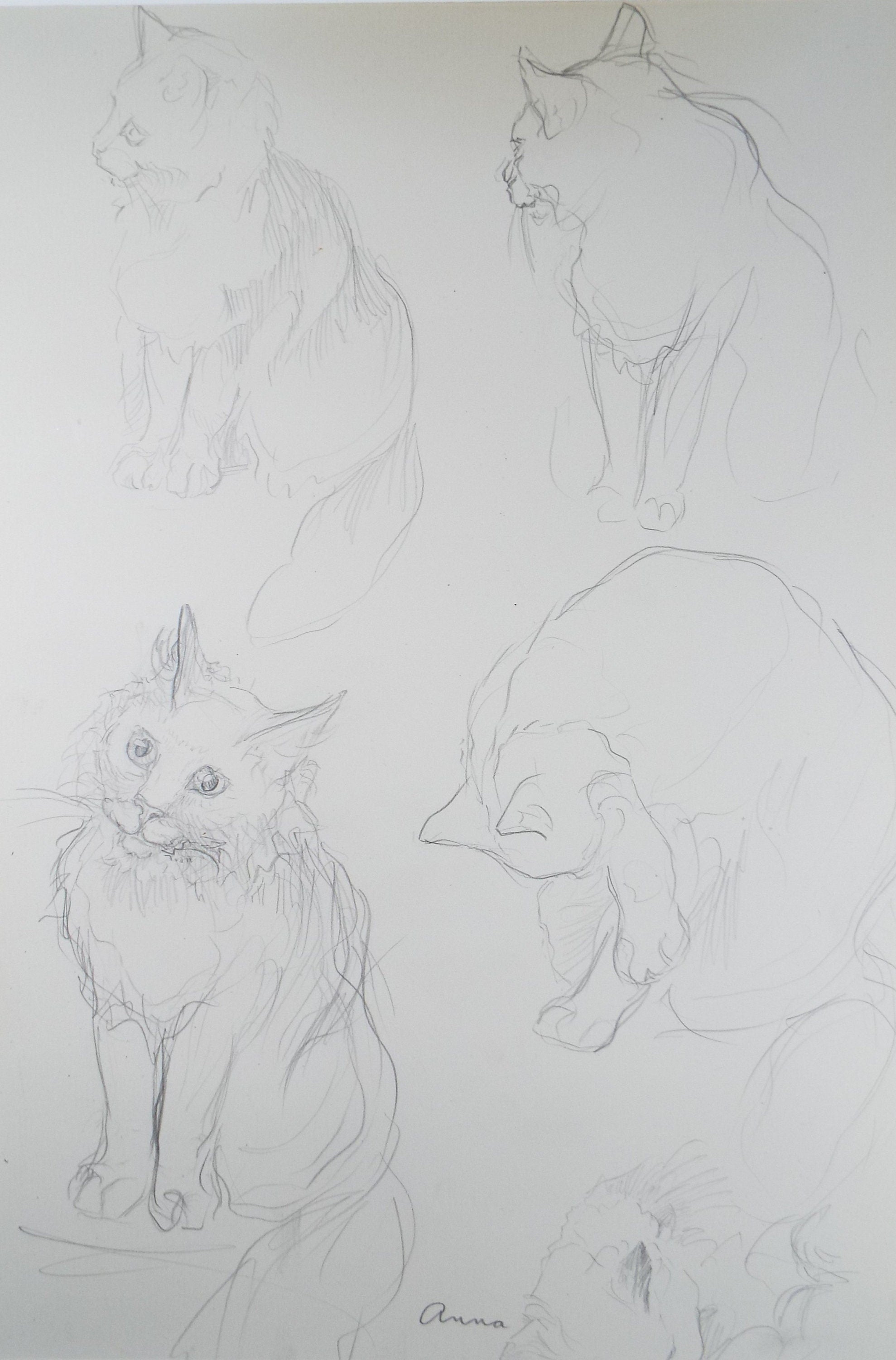 Original Pencil Sketch,'Study of cats', Helen Collins (1921-1990), circa 1938/9