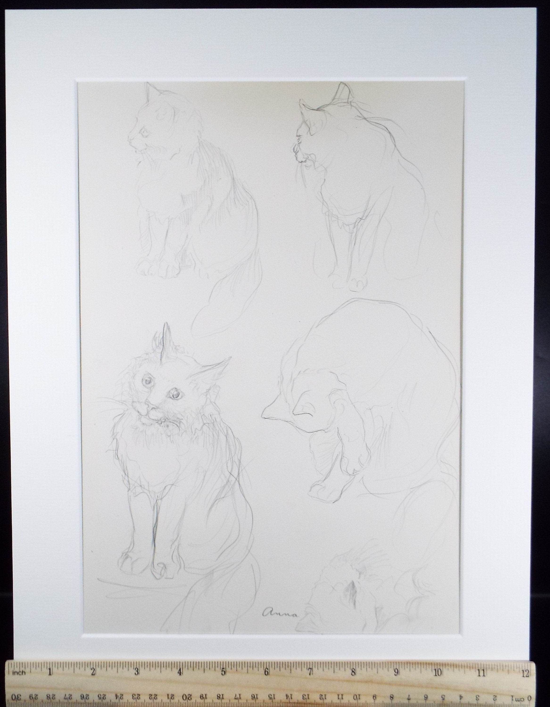 Original Pencil Sketch,'Study of cats', Helen Collins (1921-1990), circa 1938/9