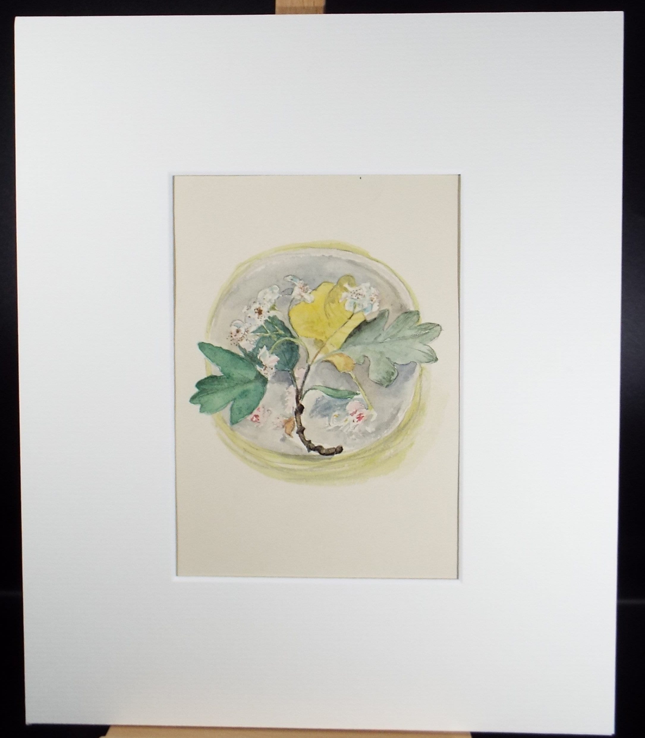 Original watercolour 'A Study of Blossom', Unknown artist, Circa 1950's