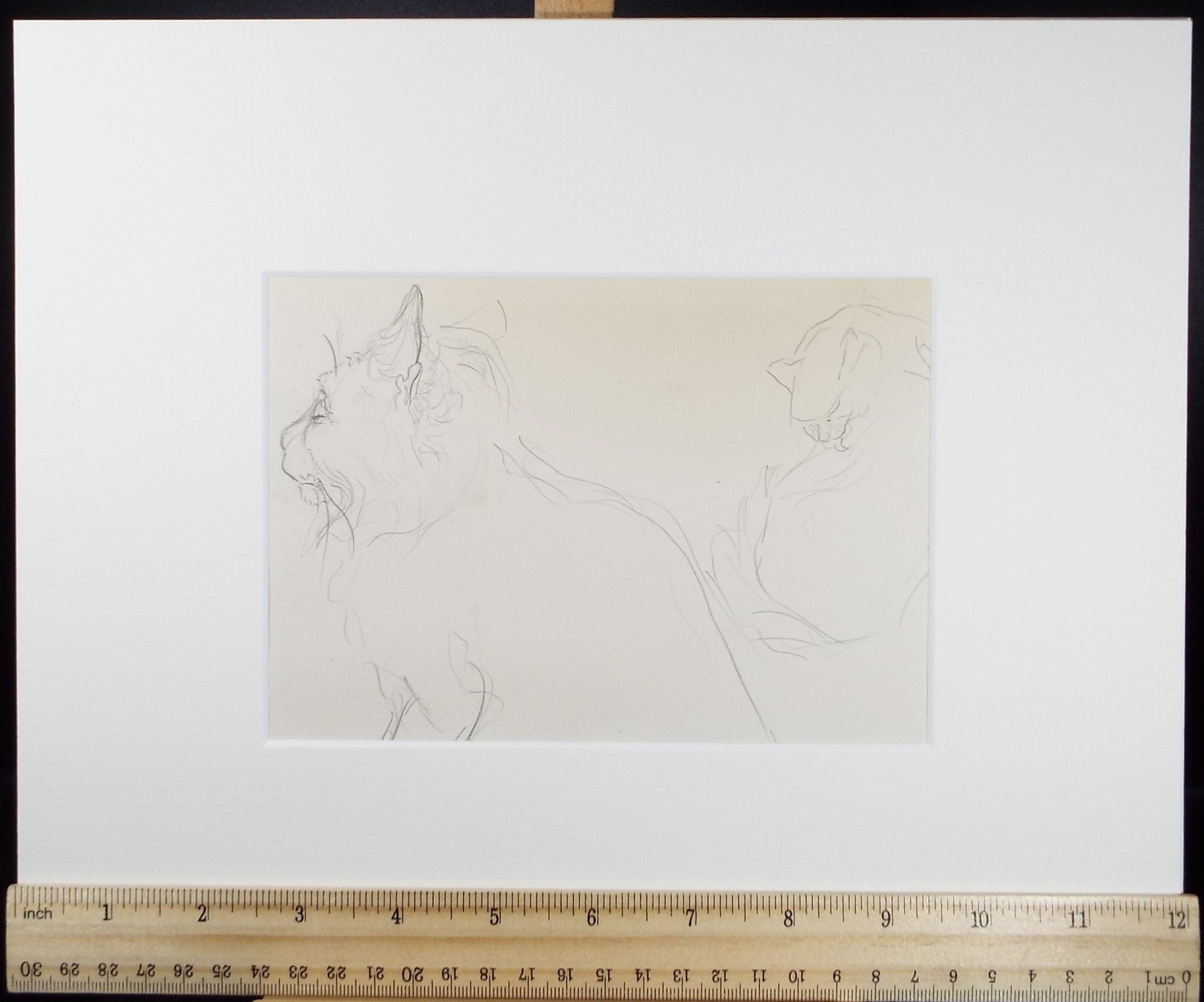 Original Pencil Sketch,'Study of a Cat', Helen Collins (1921-1990), circa 1938/9