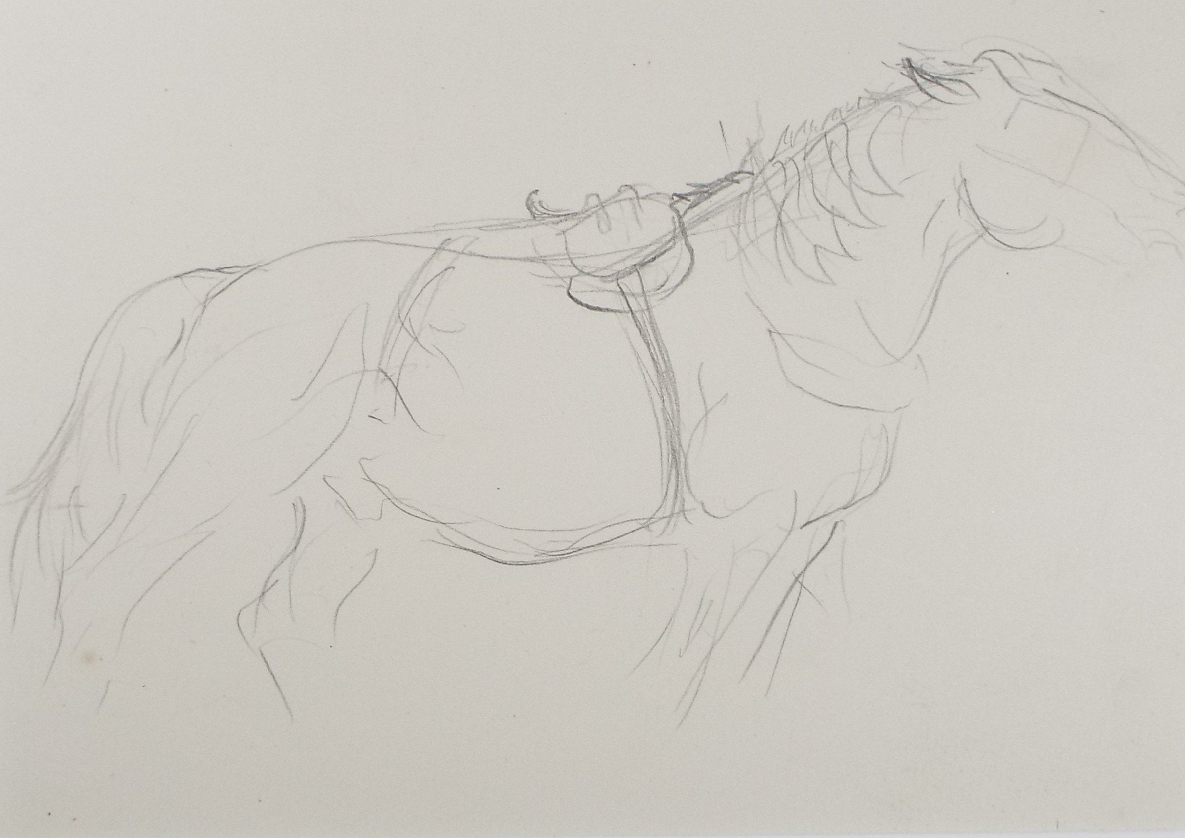 Original Pencil Sketch,'Study of a Heavy Horse', Helen Collins (1921-1990), circa 1938/9