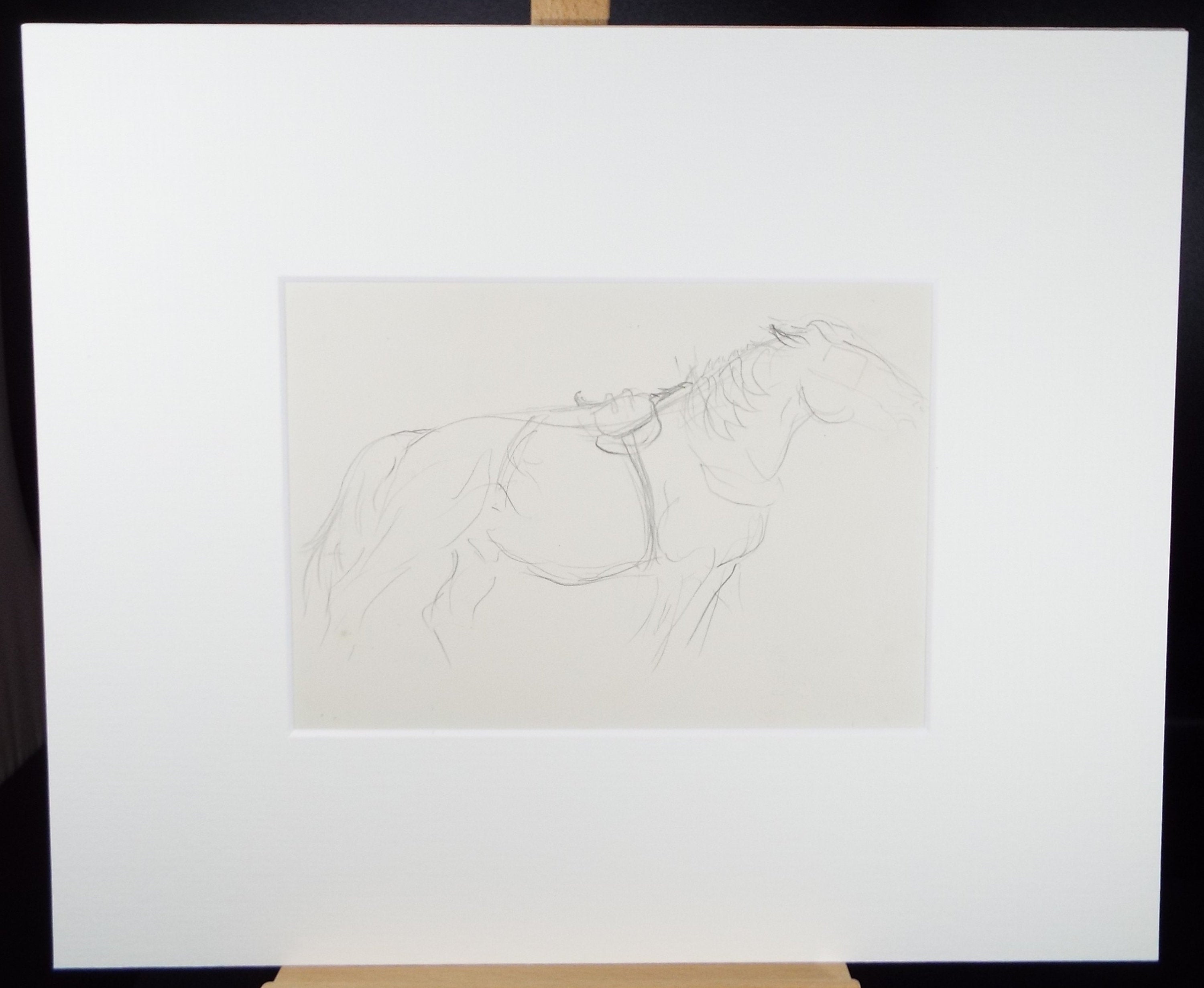 Original Pencil Sketch,'Study of a Heavy Horse', Helen Collins (1921-1990), circa 1938/9