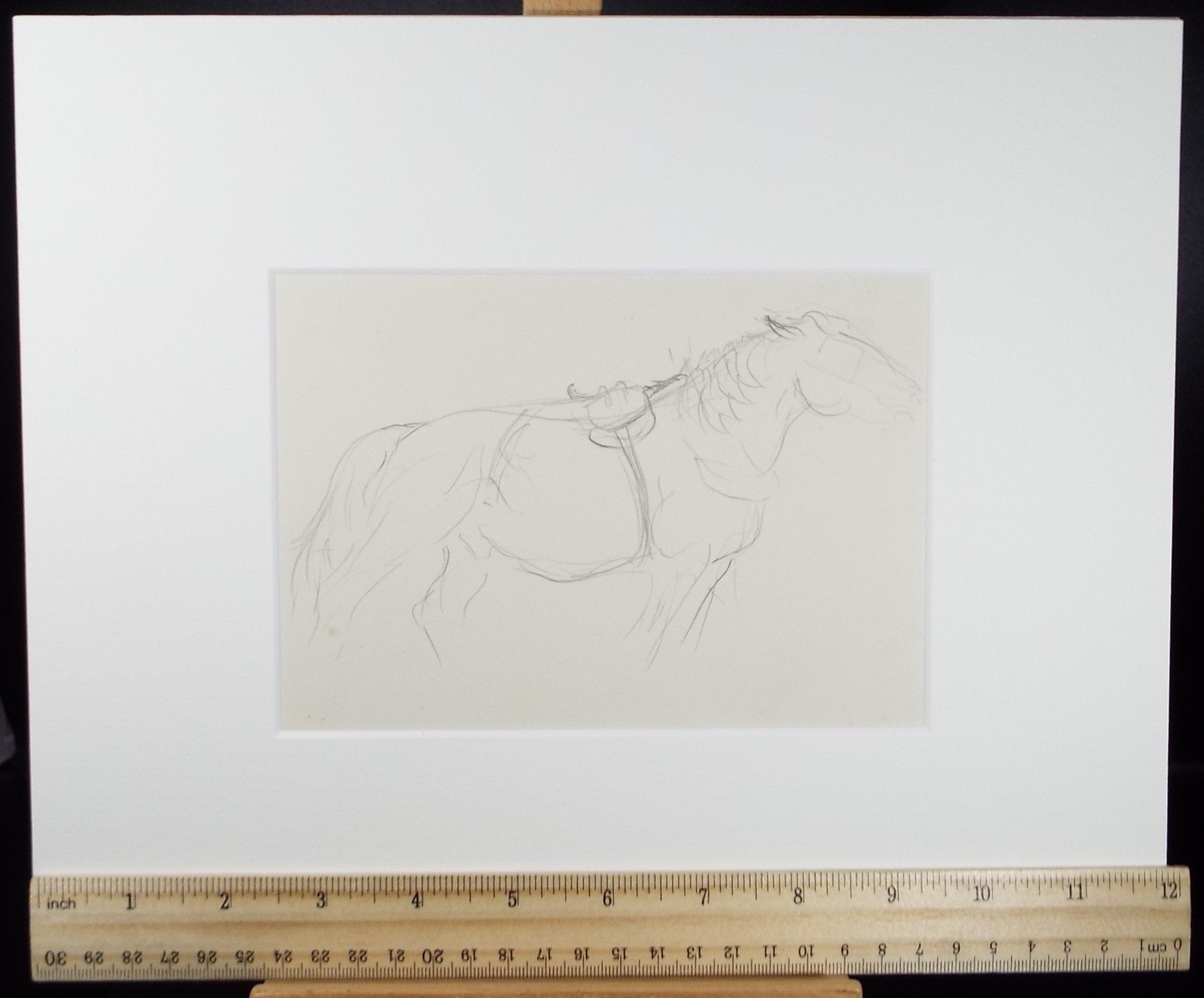 Original Pencil Sketch,'Study of a Heavy Horse', Helen Collins (1921-1990), circa 1938/9