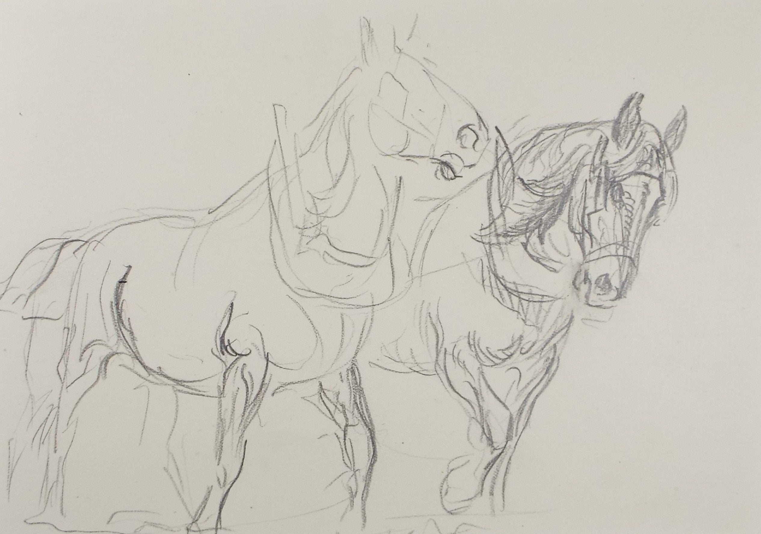 Original Pencil Sketch,'Study of Heavy Horses', Helen Collins (1921-1990), circa 1938/9