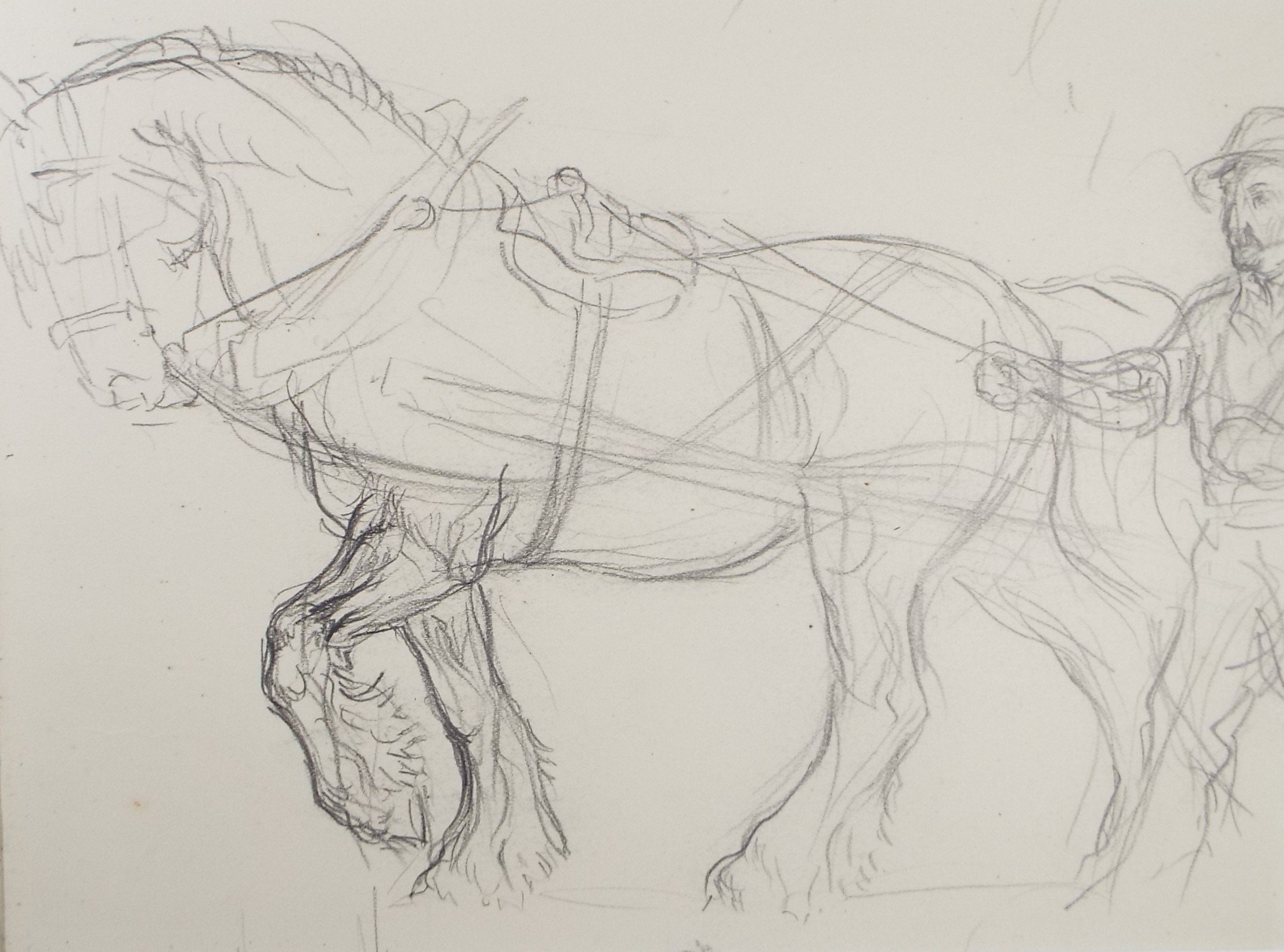 Original Pencil Sketch,'Study of a Heavy horse', Helen Collins (1921-1990), circa 1938/9