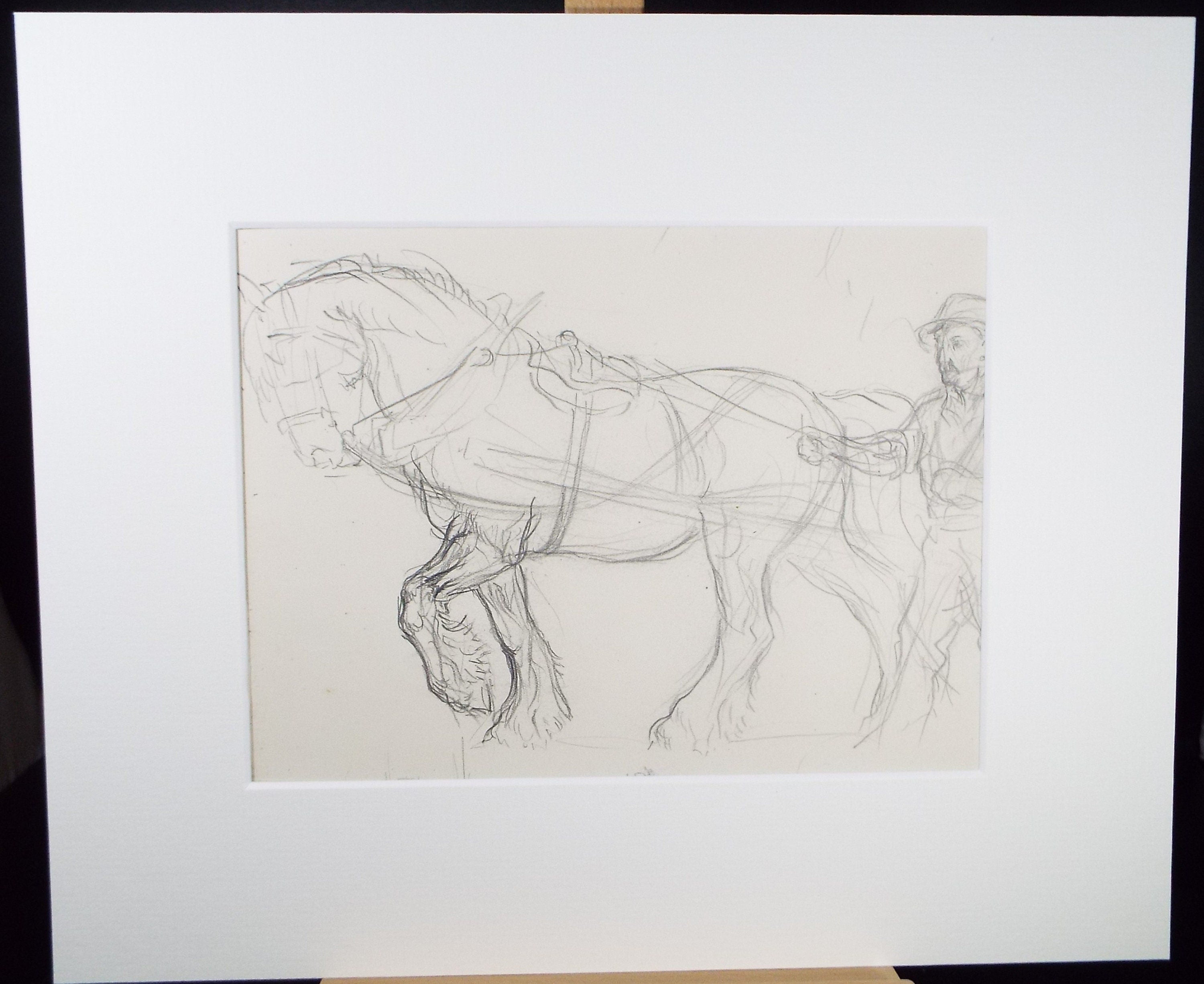 Original Pencil Sketch,'Study of a Heavy horse', Helen Collins (1921-1990), circa 1938/9