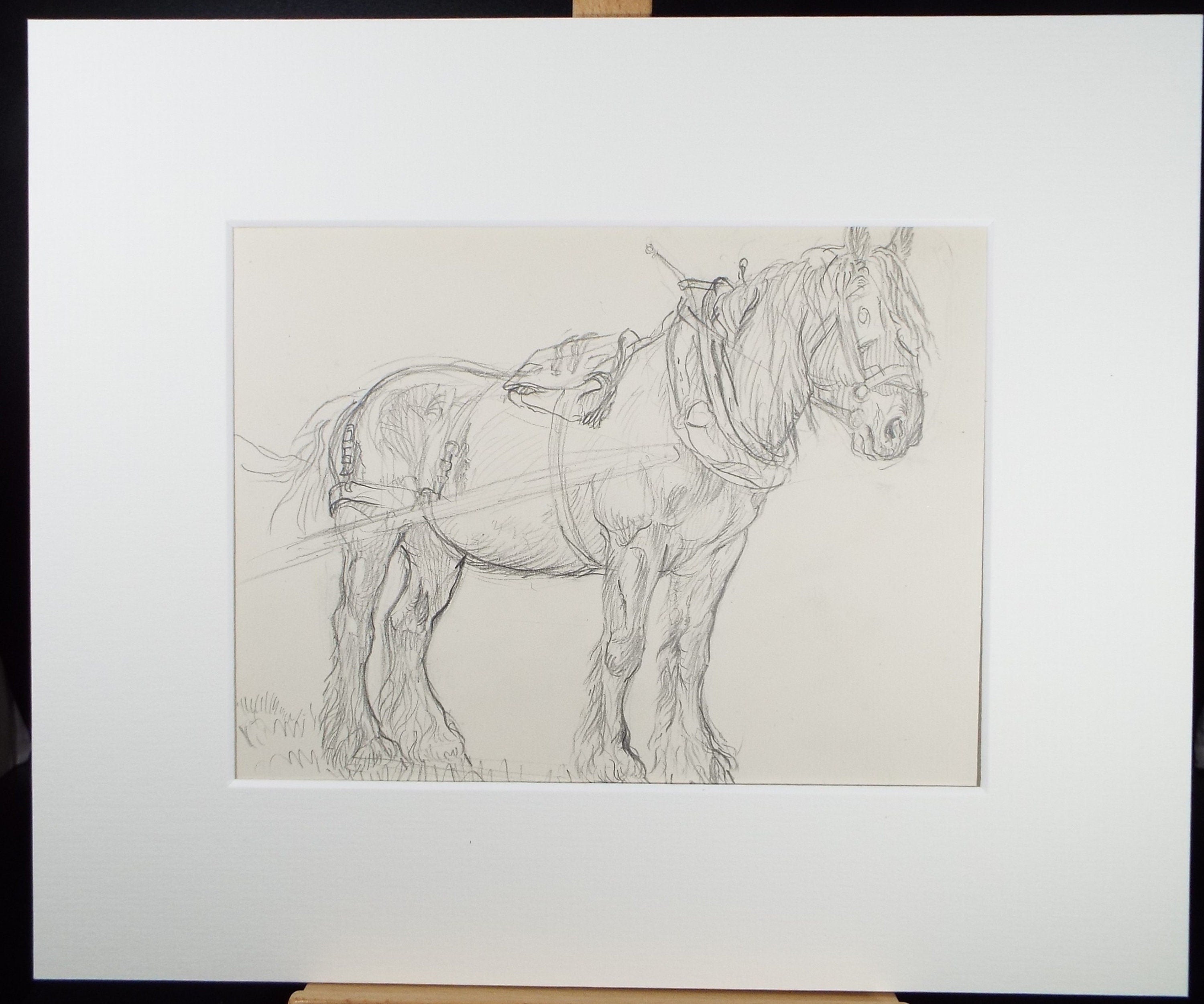 Original Pencil Sketch,'Study of a Heavy horse', Helen Collins (1921-1990), circa 1938/9
