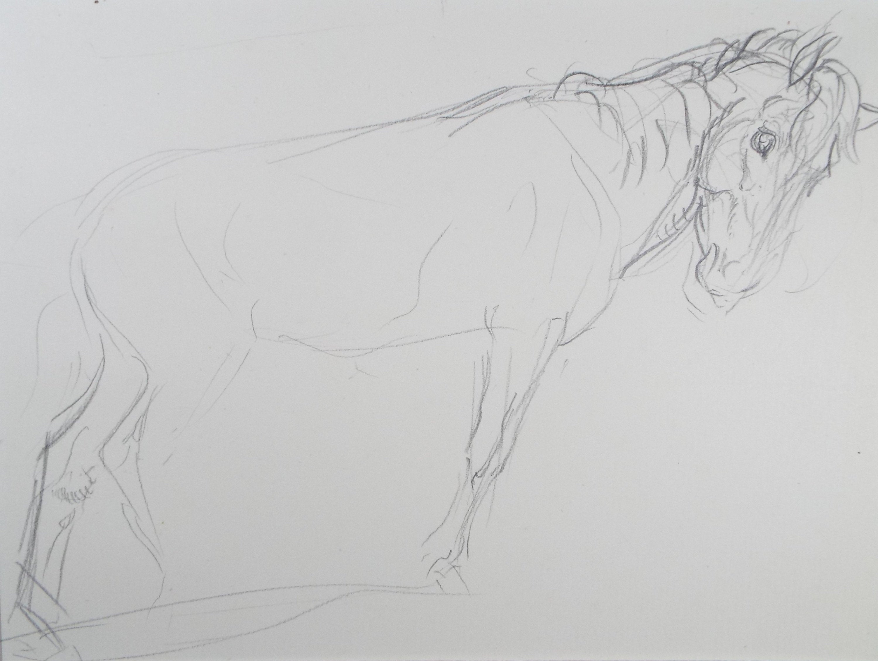 Original Pencil Sketch,'Study of a Heavy horse', Helen Collins (1921-1990), circa 1938/9