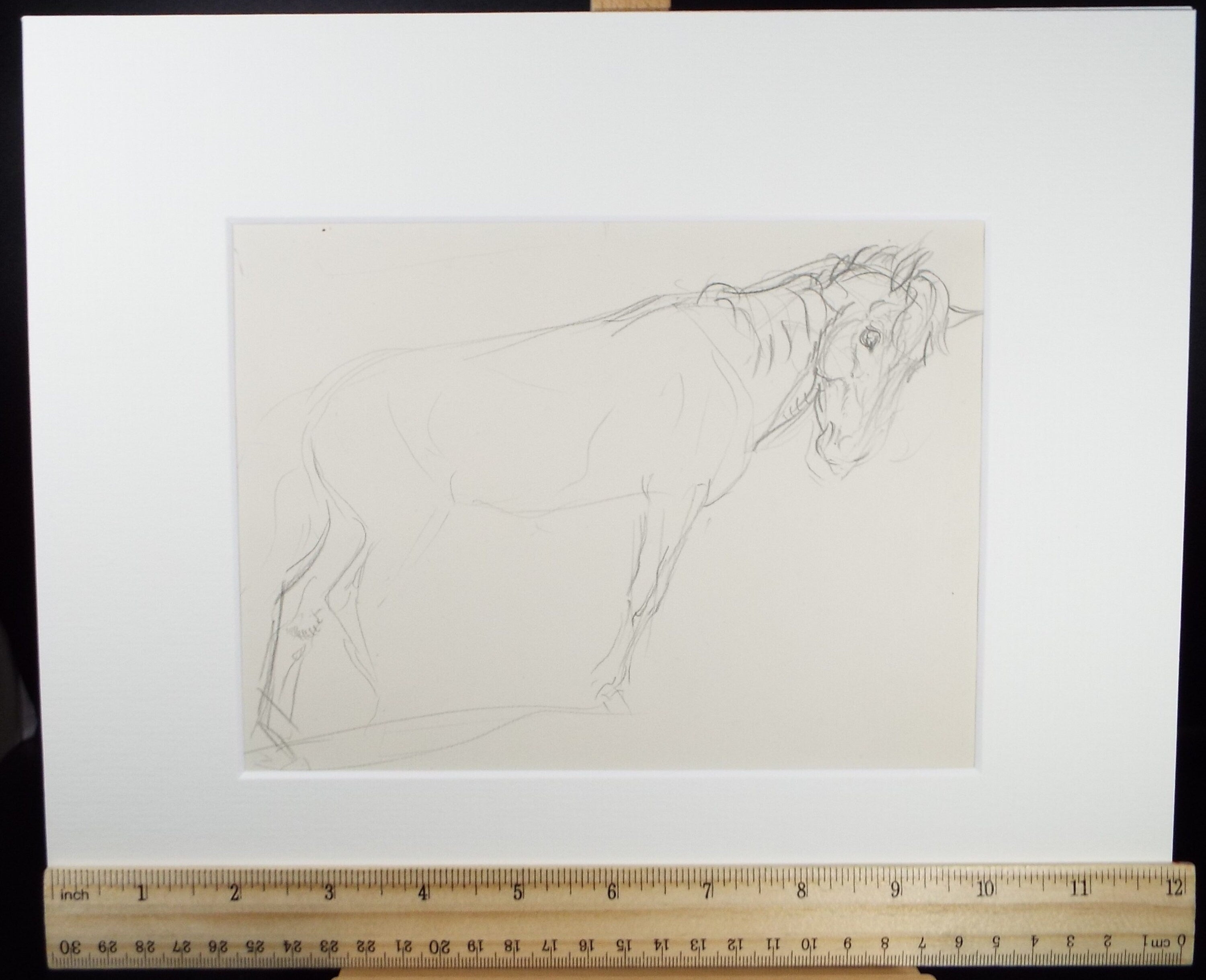 Original Pencil Sketch,'Study of a Heavy horse', Helen Collins (1921-1990), circa 1938/9