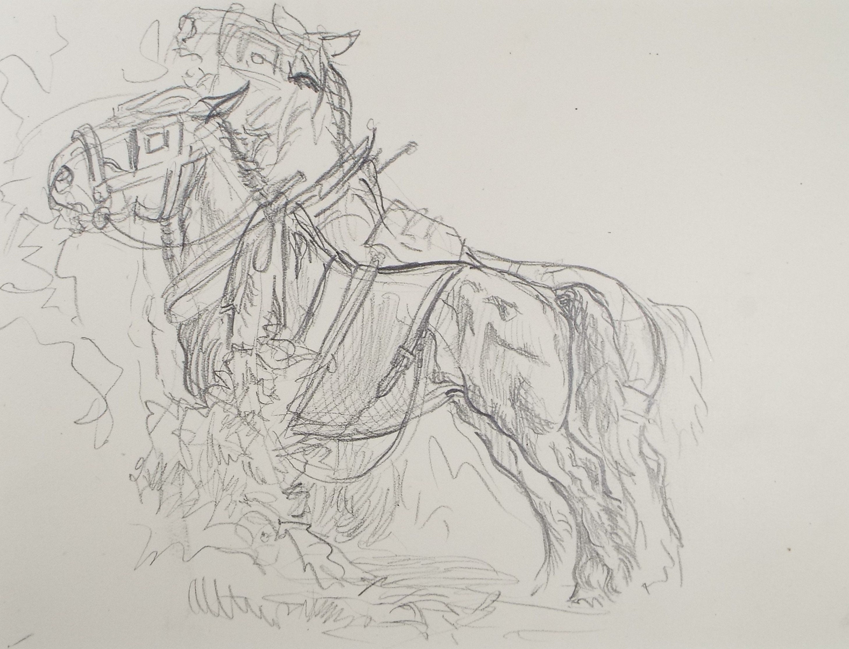 Original Pencil Sketch,'Study of Heavy horses', Helen Collins (1921-1990), circa 1938/9