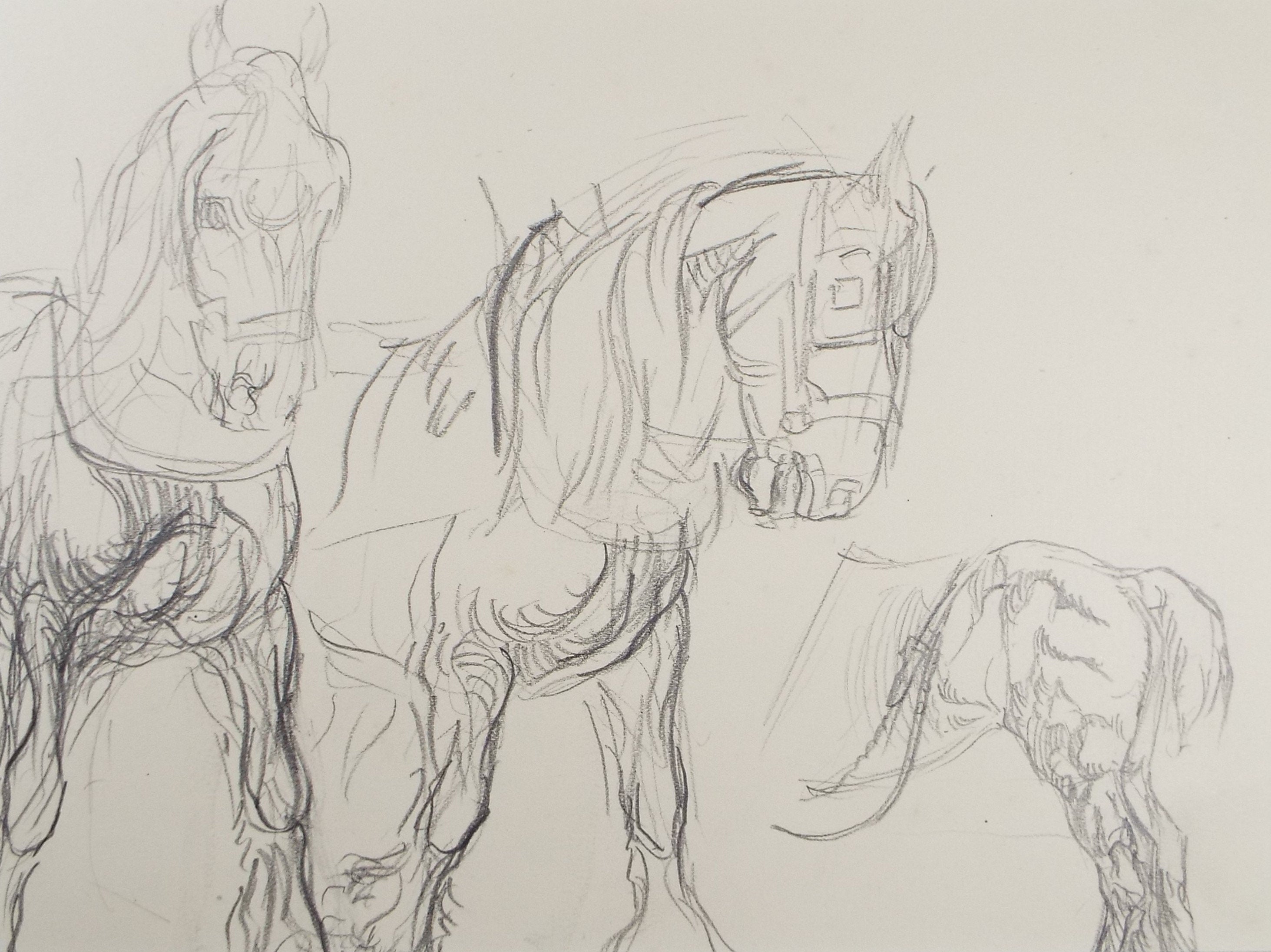 Original Pencil Sketch,'Study of Heavy horses', Helen Collins (1921-1990), circa 1938/9
