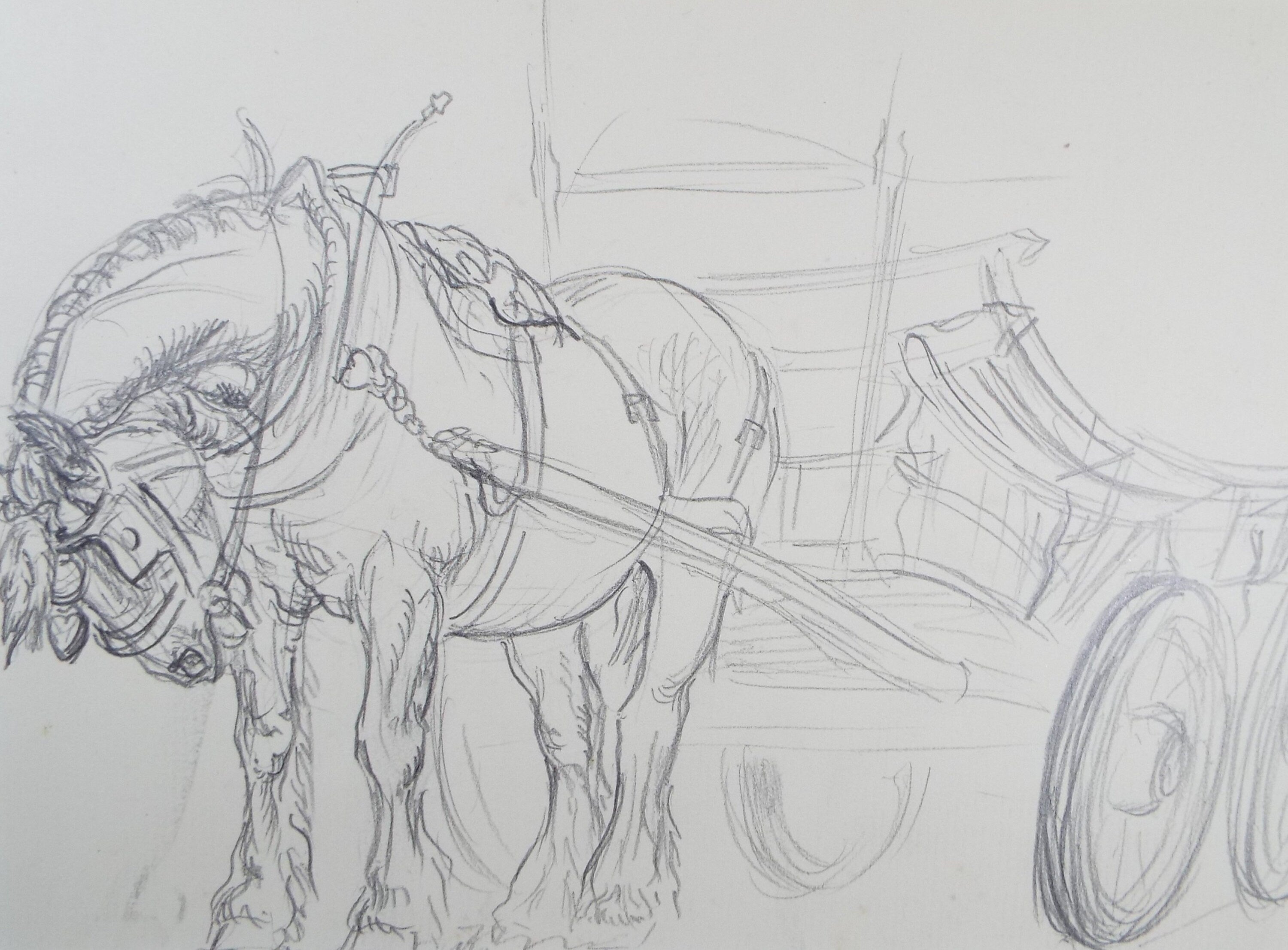 Original Pencil Sketch,'Study of a Heavy horse', Helen Collins (1921-1990), circa 1938/9