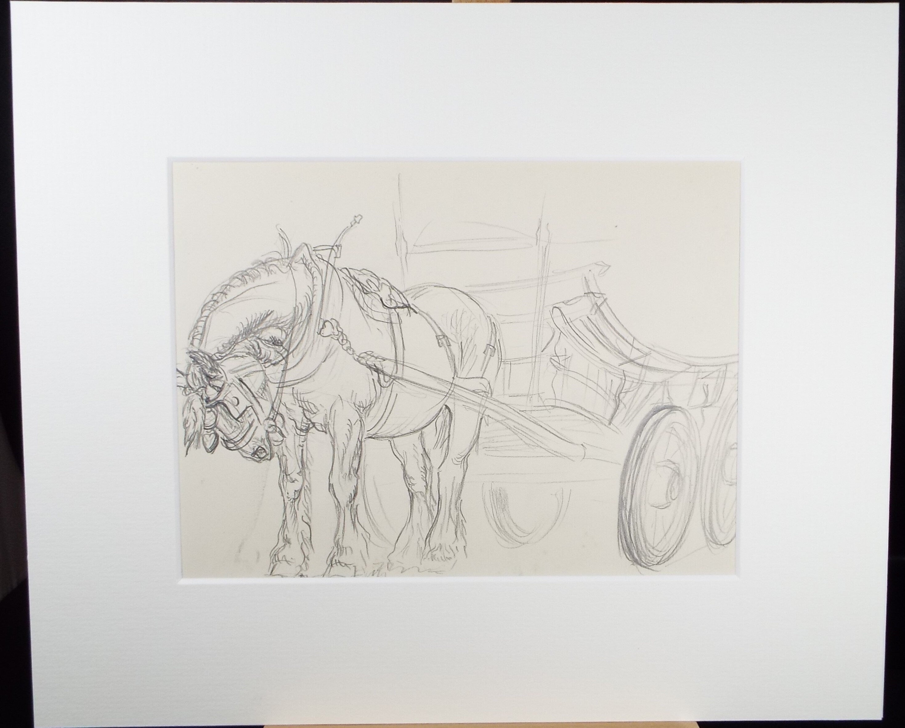 Original Pencil Sketch,'Study of a Heavy horse', Helen Collins (1921-1990), circa 1938/9