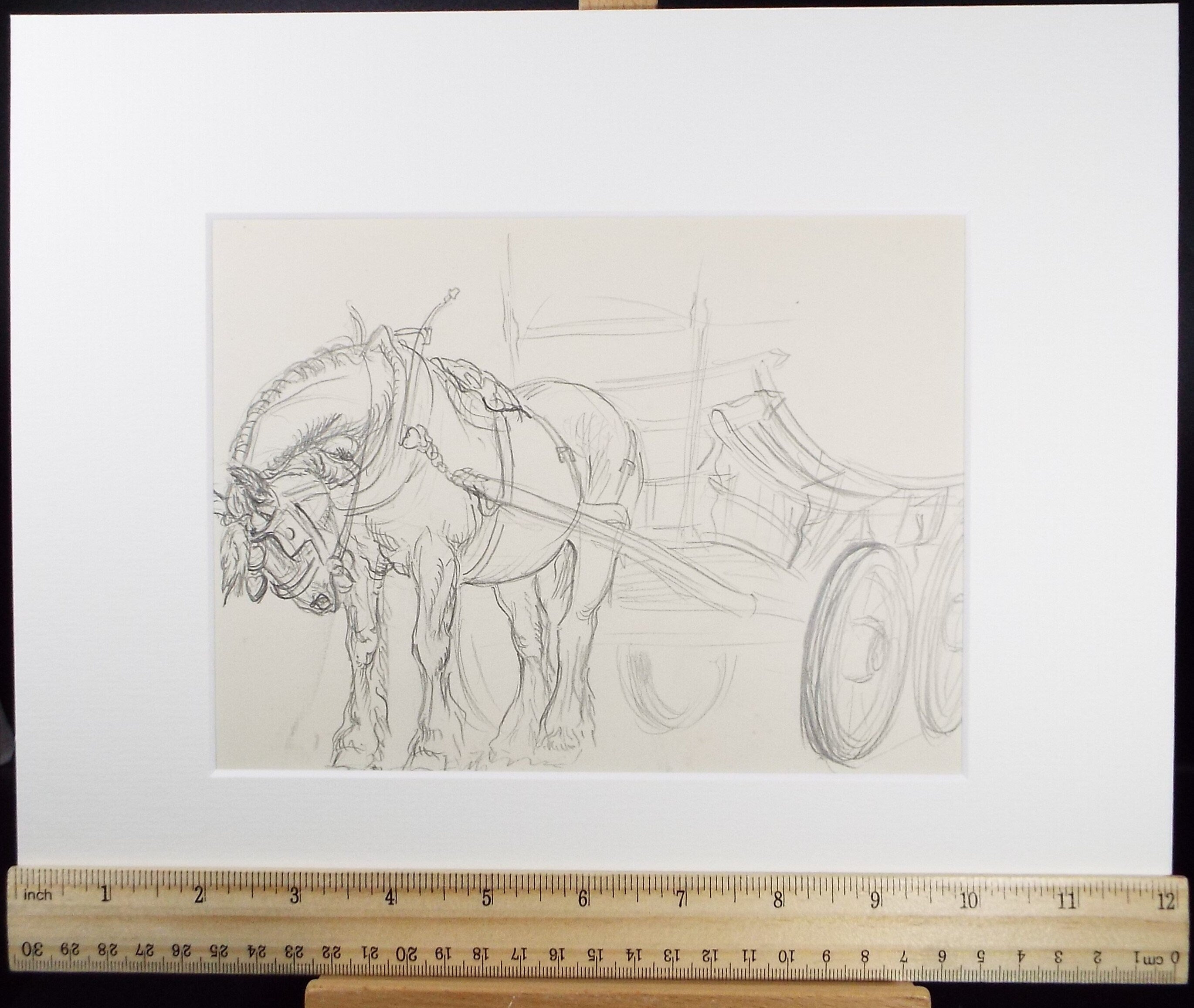 Original Pencil Sketch,'Study of a Heavy horse', Helen Collins (1921-1990), circa 1938/9