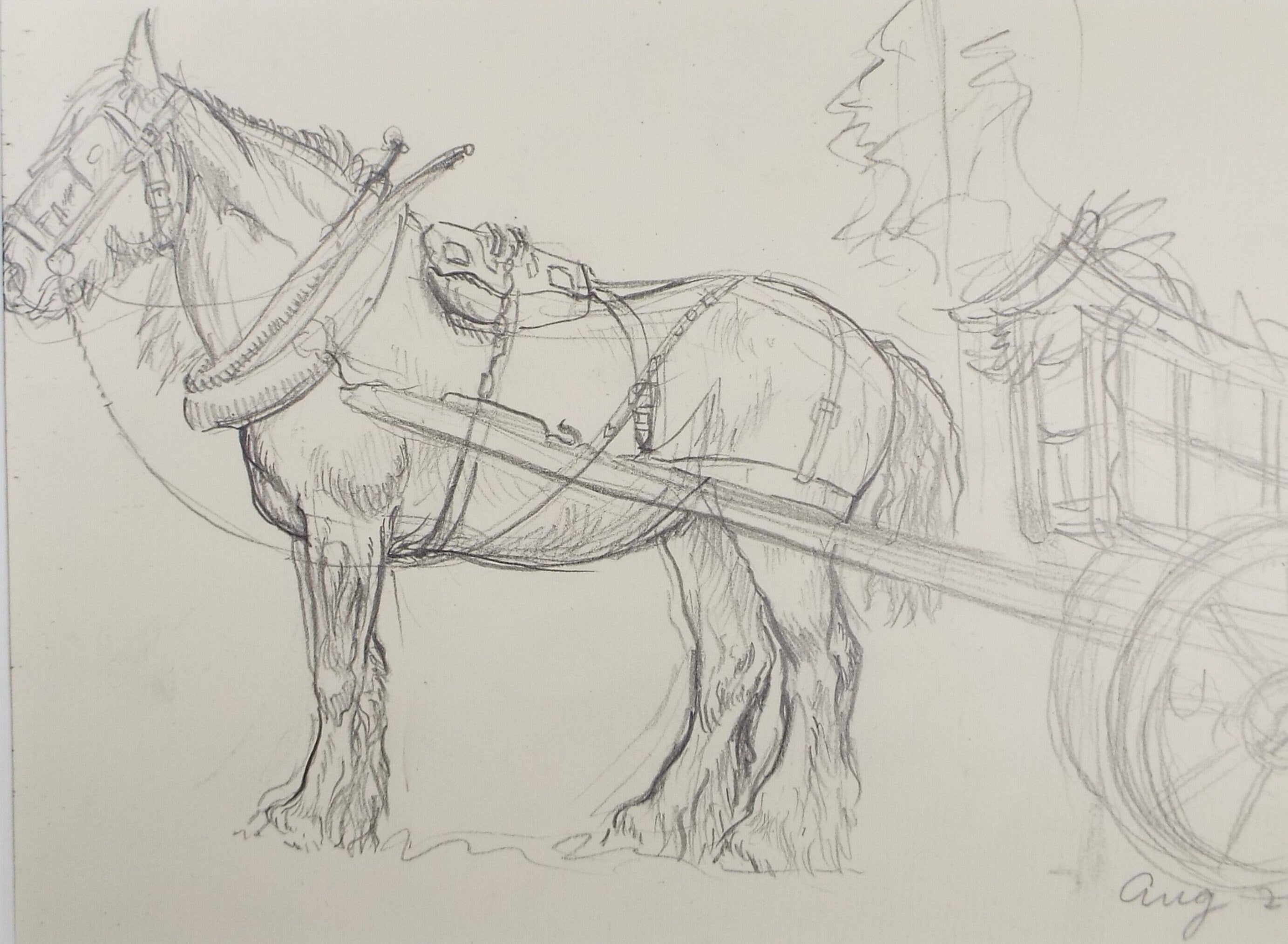 Original Pencil Sketch,'Study of a Heavy horse', Helen Collins (1921-1990), circa 1938/9