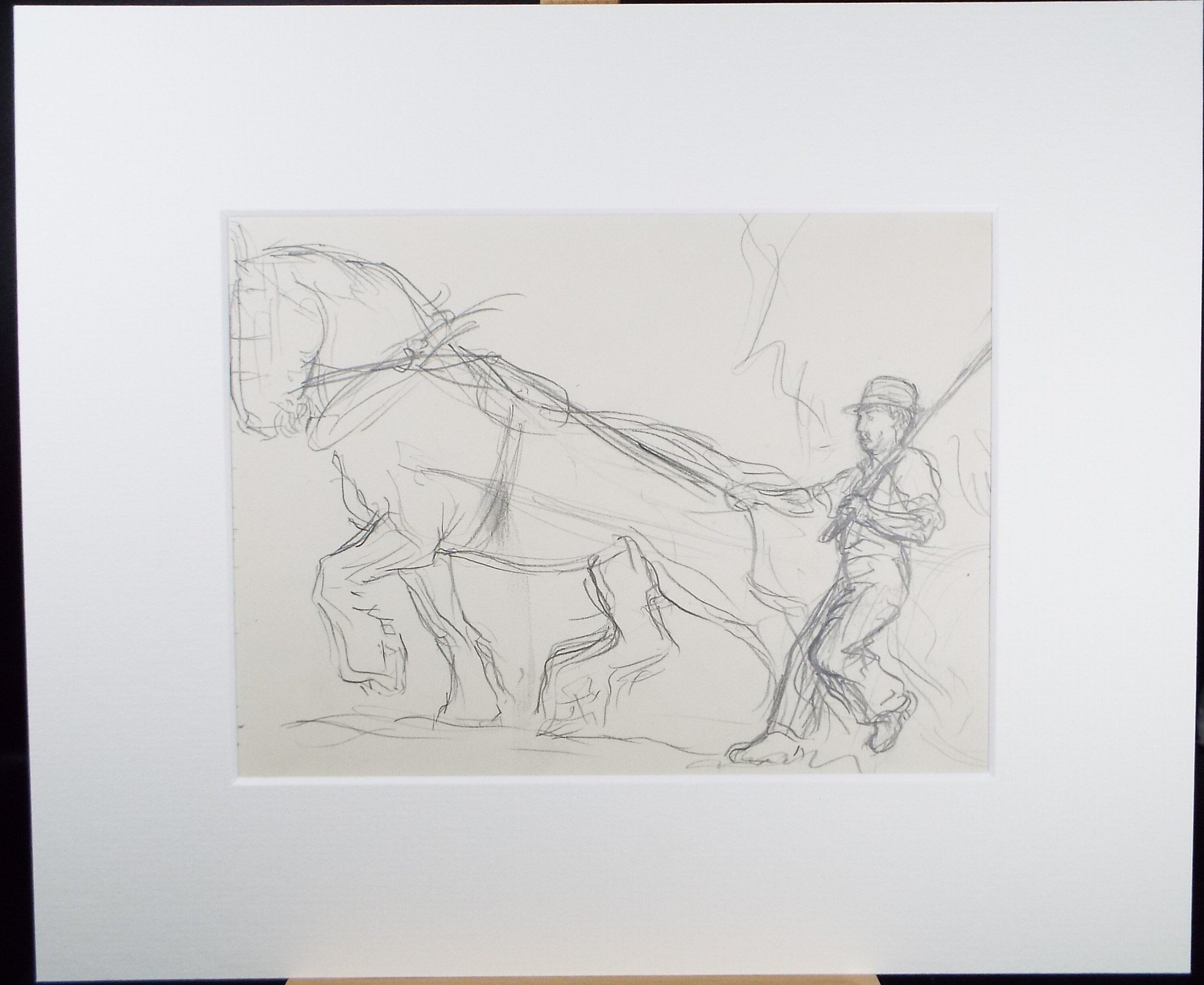 Original Pencil Sketch,'Study of a Heavy horse', Helen Collins (1921-1990), circa 1938/9