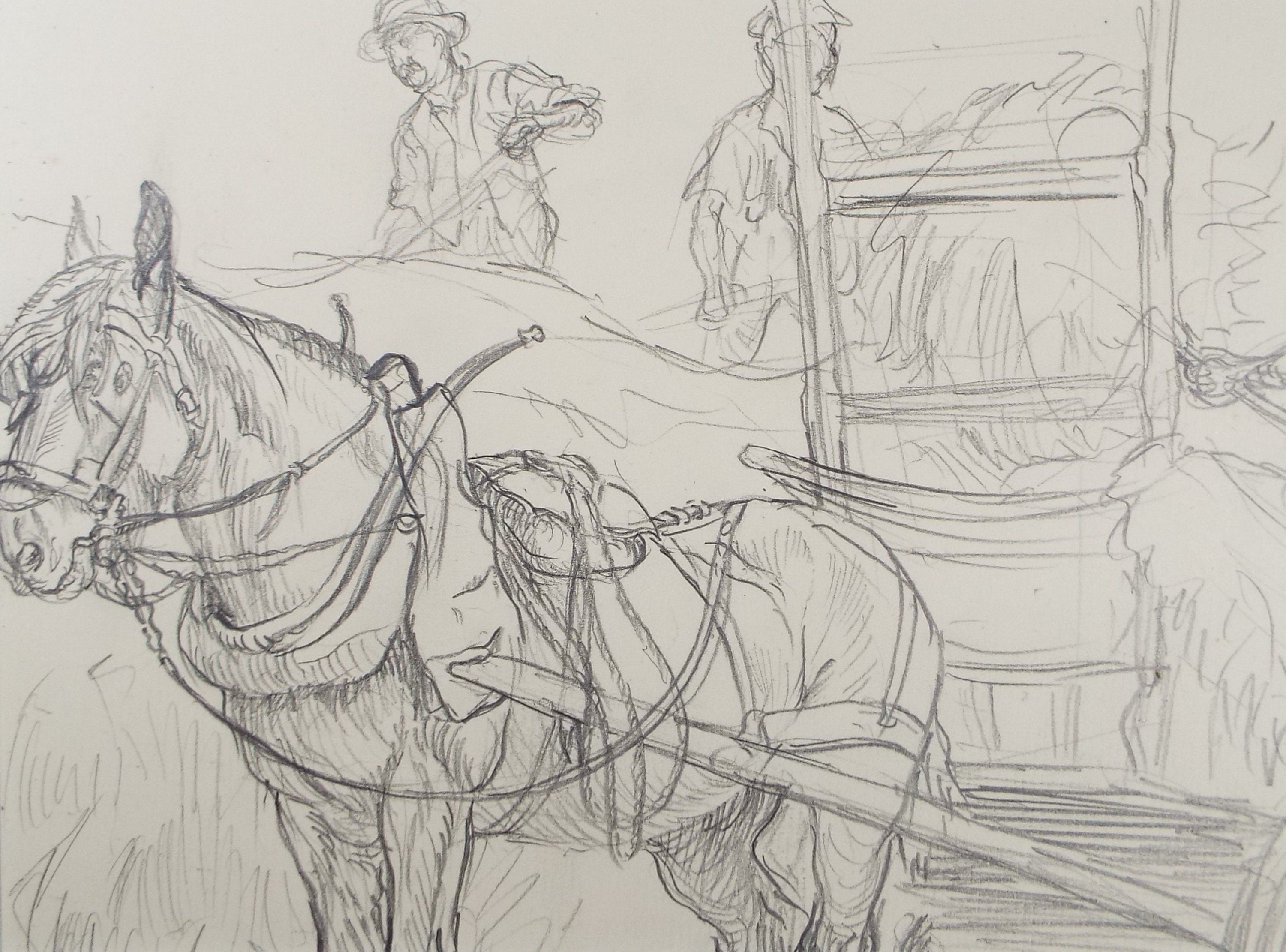 Original Pencil Sketch,'Study of a Heavy horse', Helen Collins (1921-1990), circa 1938/9