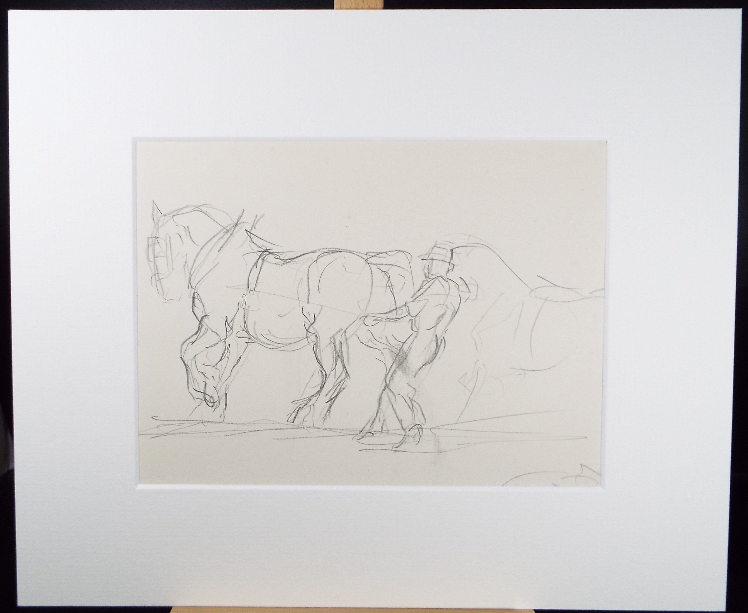 Original Pencil Sketch,'Study of a Heavy horse', Helen Collins (1921-1990), circa 1938/9