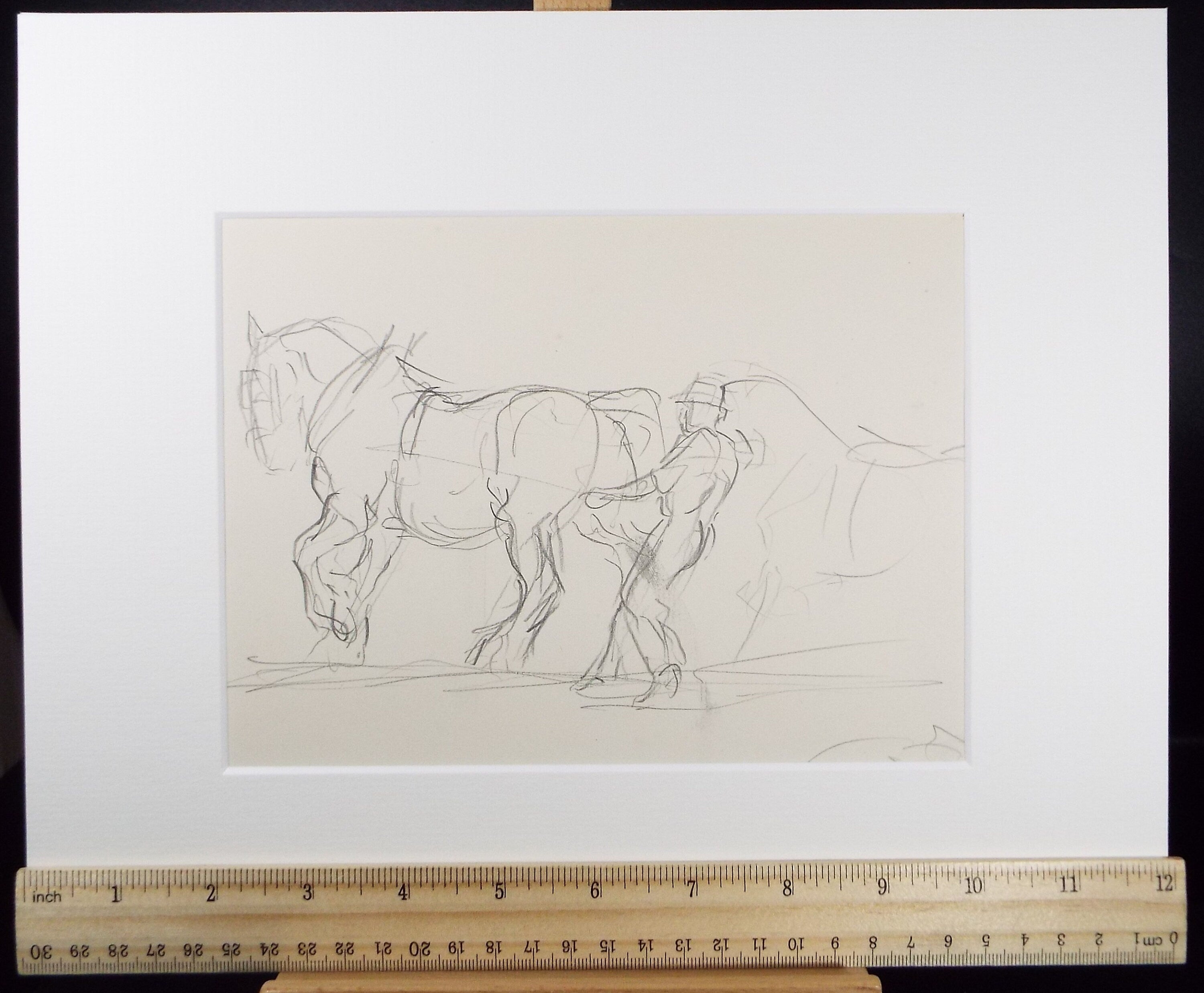 Original Pencil Sketch,'Study of a Heavy horse', Helen Collins (1921-1990), circa 1938/9
