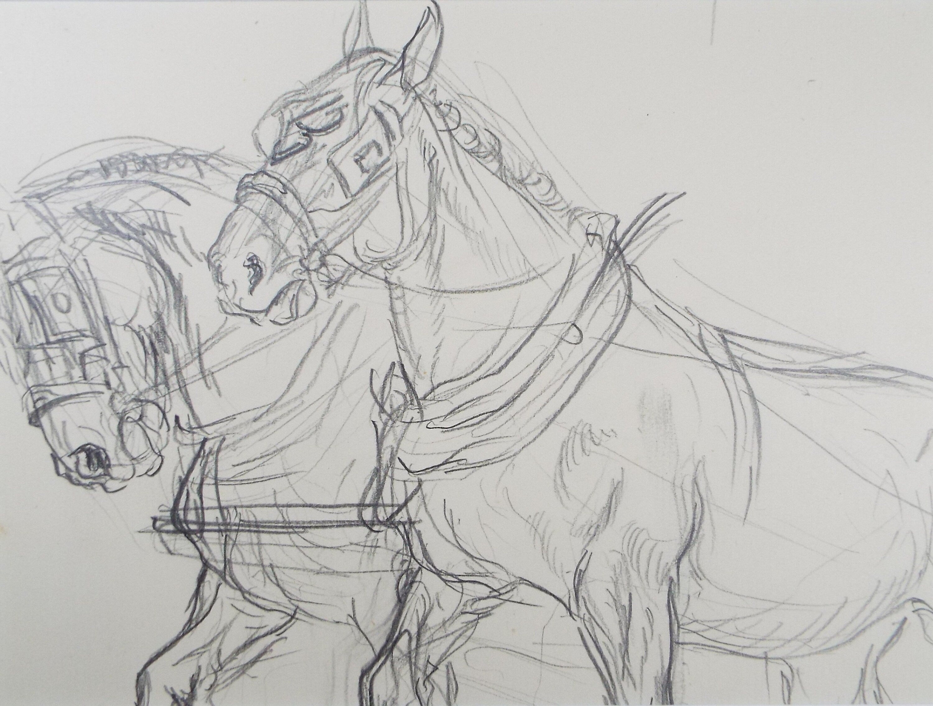 Original Pencil Sketch,'Study of Heavy horses', Helen Collins (1921-1990), circa 1938/9