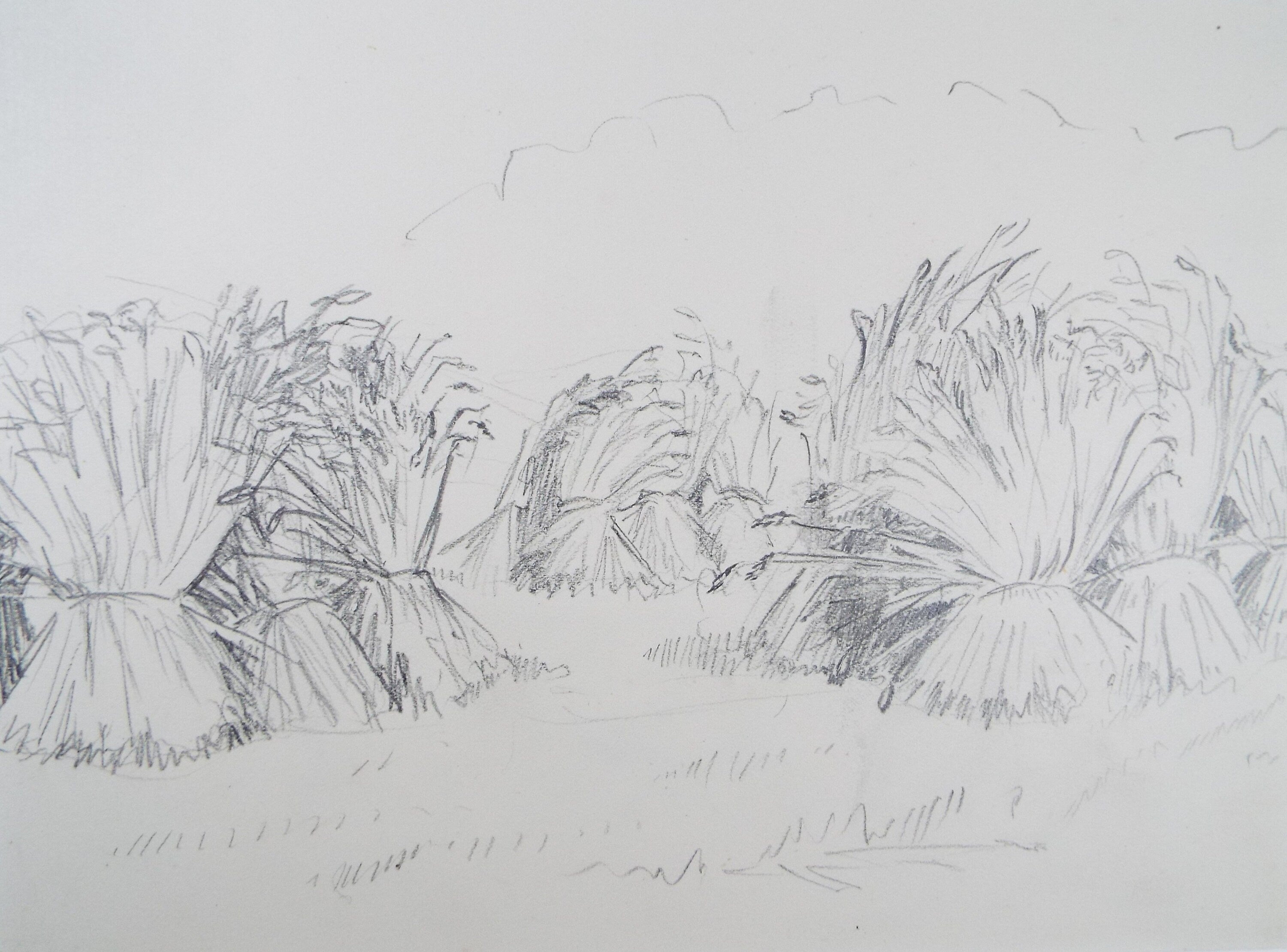Original Pencil Sketch,'Study of Corn Stooks', Helen Collins (1921-1990), circa 1938/9