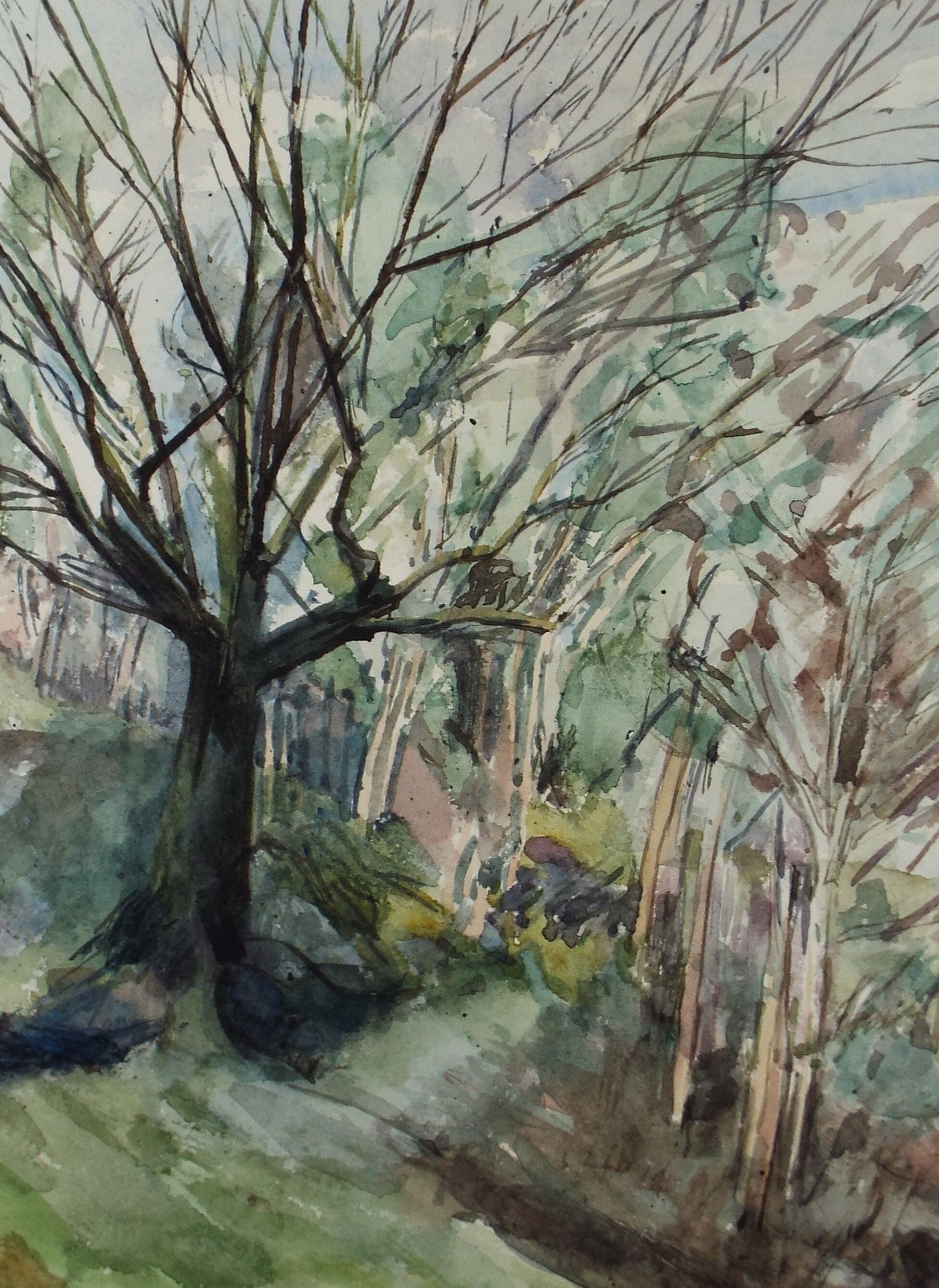 Original Watercolour on Paper, 'Woodland Study', Leslie Duxbury ARCA (1921-2001), Circa 1950's