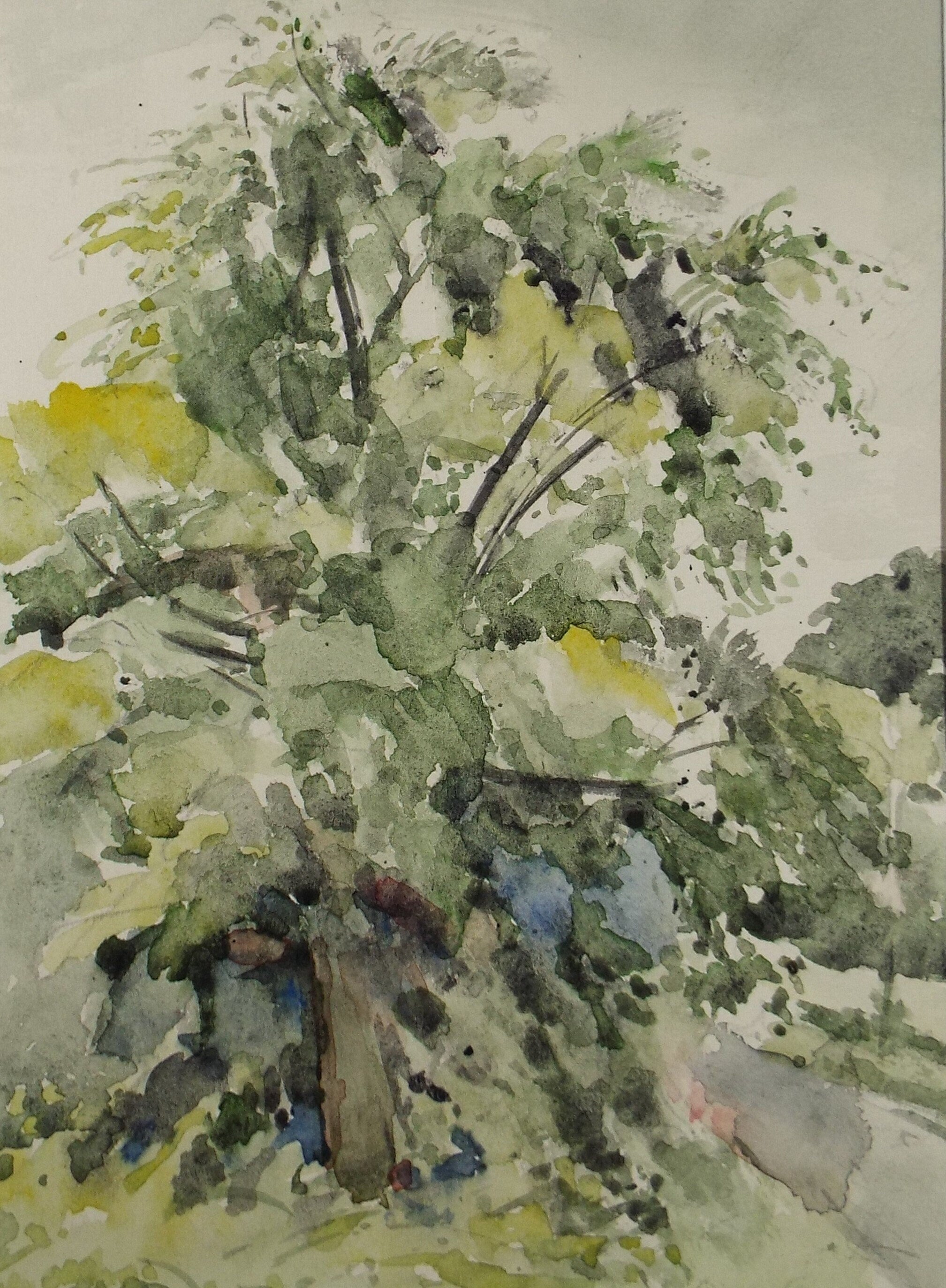Original Watercolour on Paper, 'Tree Study', Leslie Duxbury ARCA (1921-2001), Circa 1950's